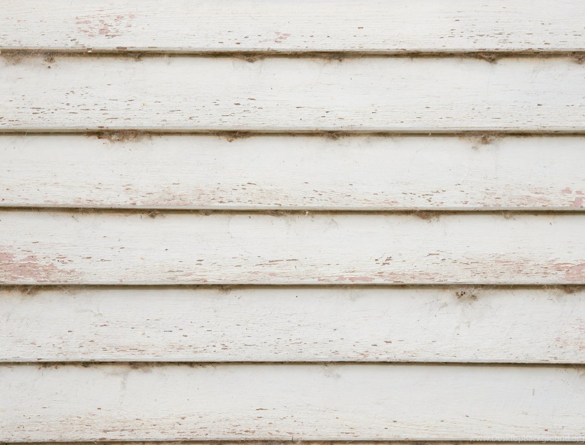 Имитация бруса белая текстура