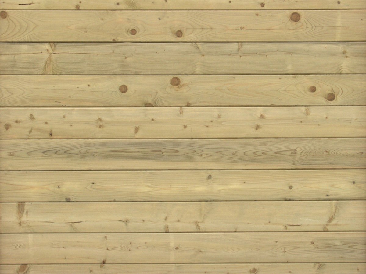 Белое дерево текстура