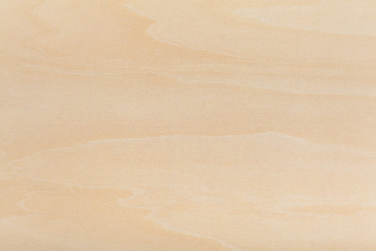 Канадский клен древесина