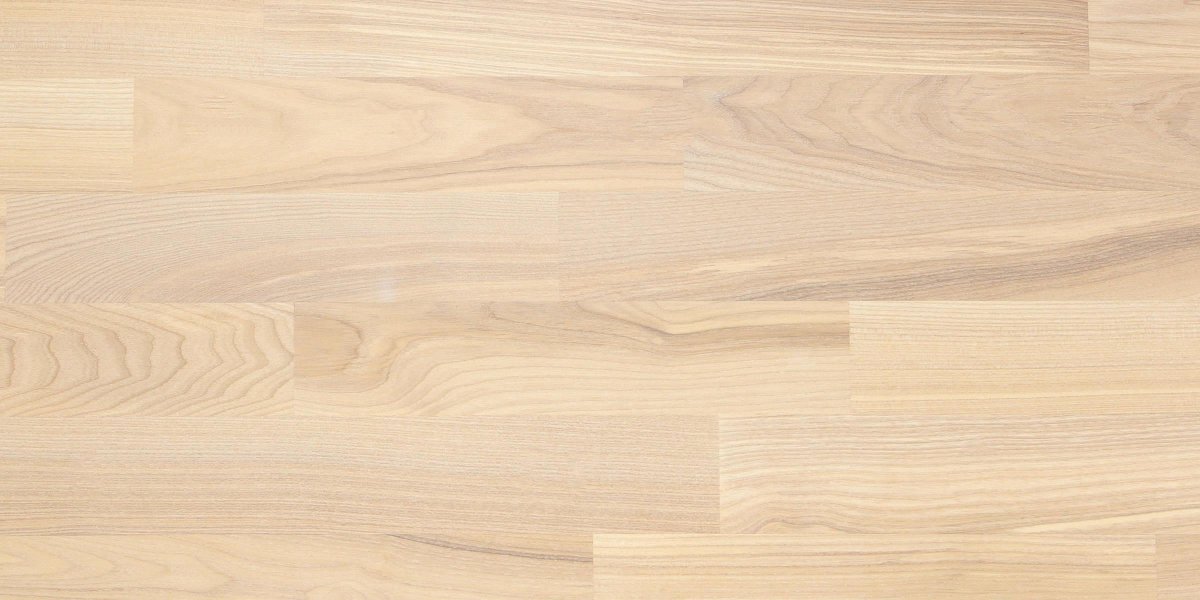 Липа текстура древесины