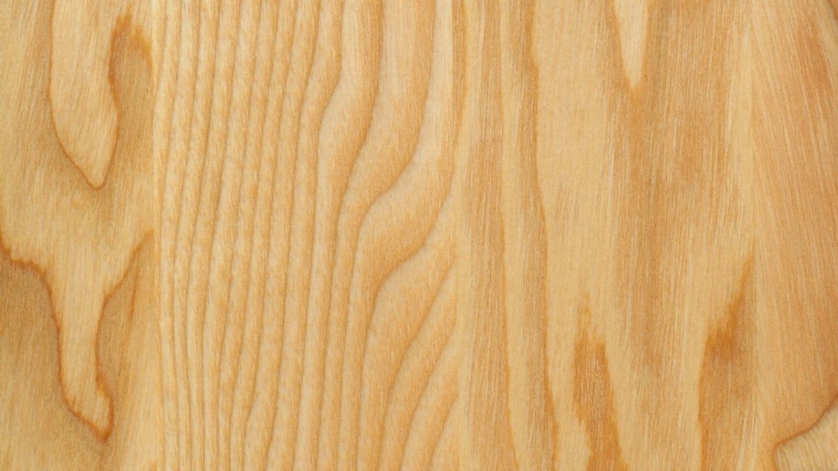 Текстура дерева липа