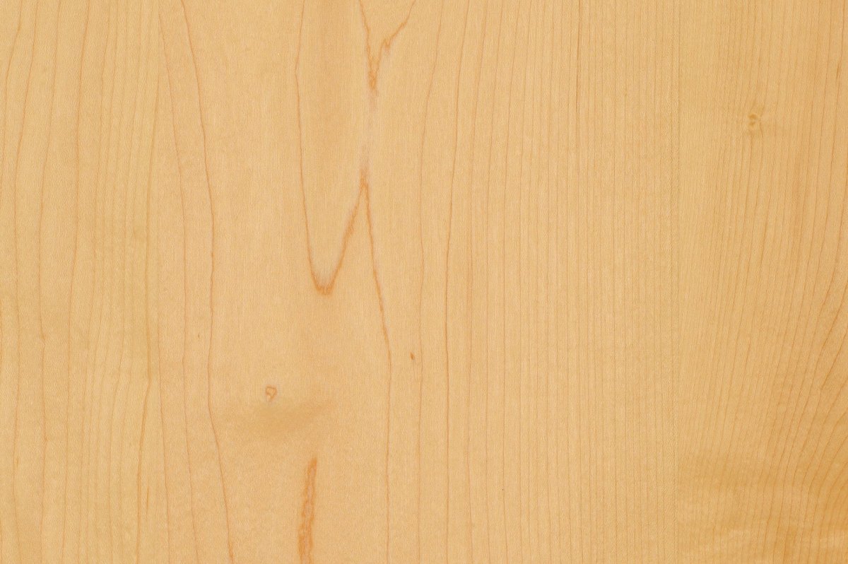 Фактура дерева сосна