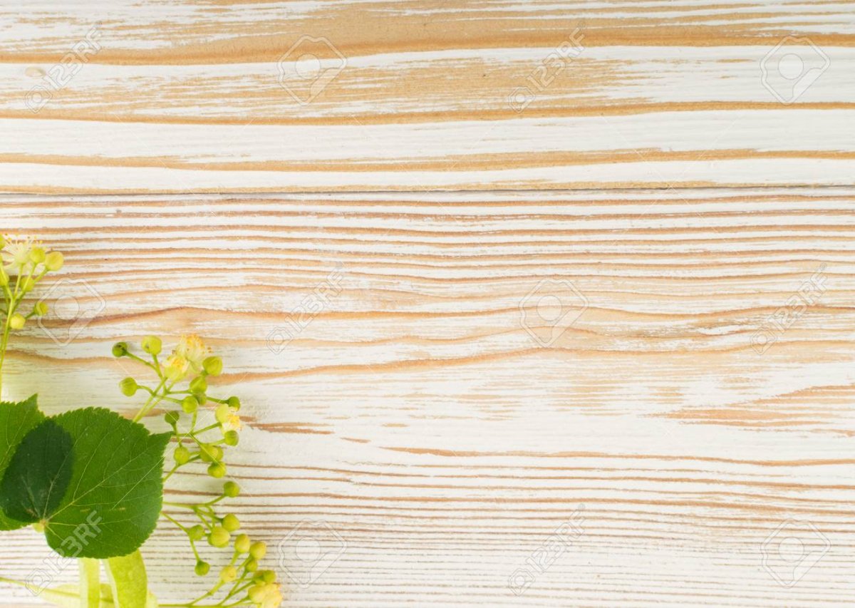 Светлое дерево