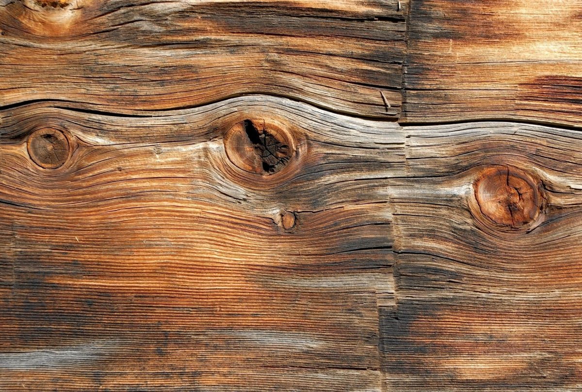 Белое дерево текстура