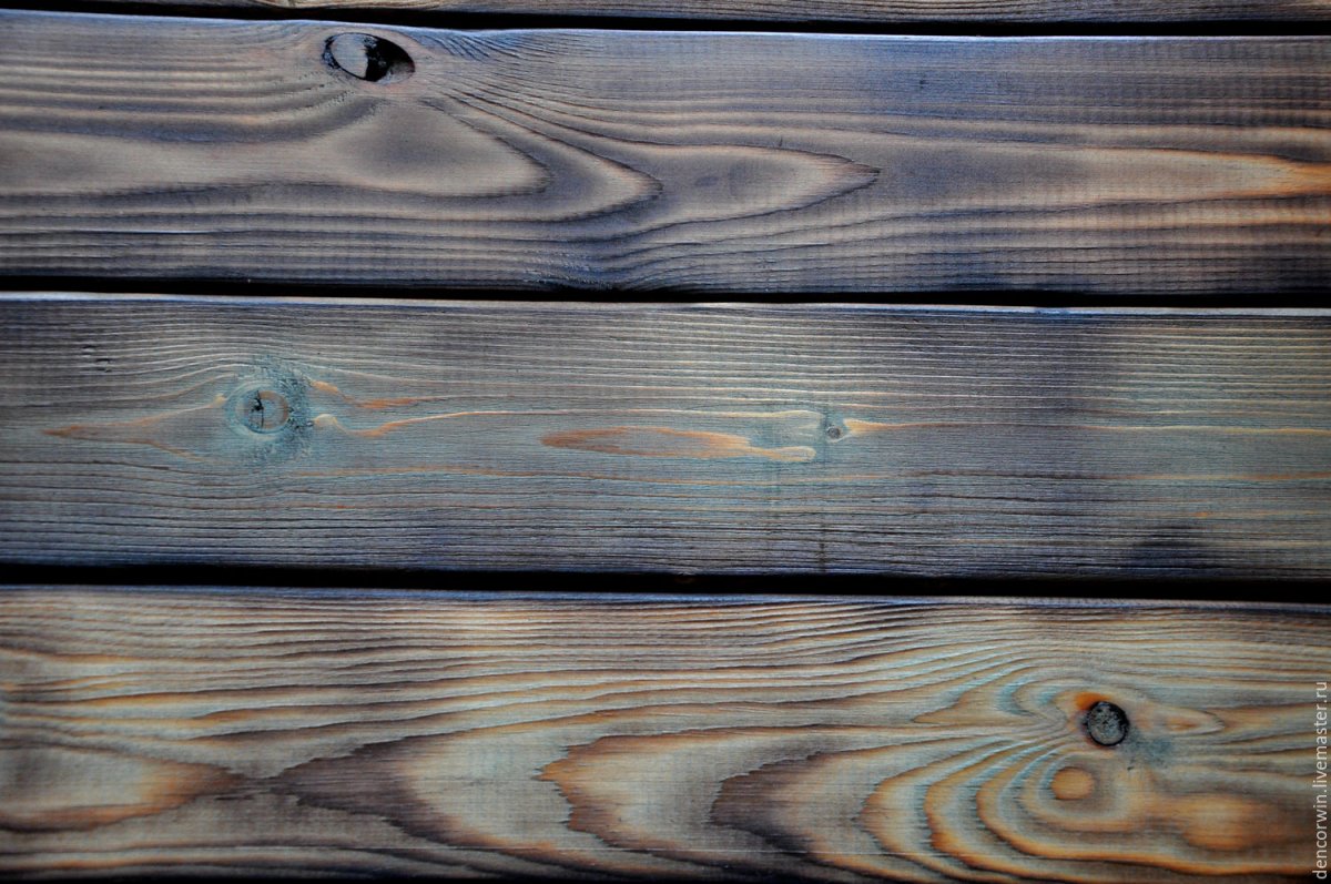 Фотофон дерево