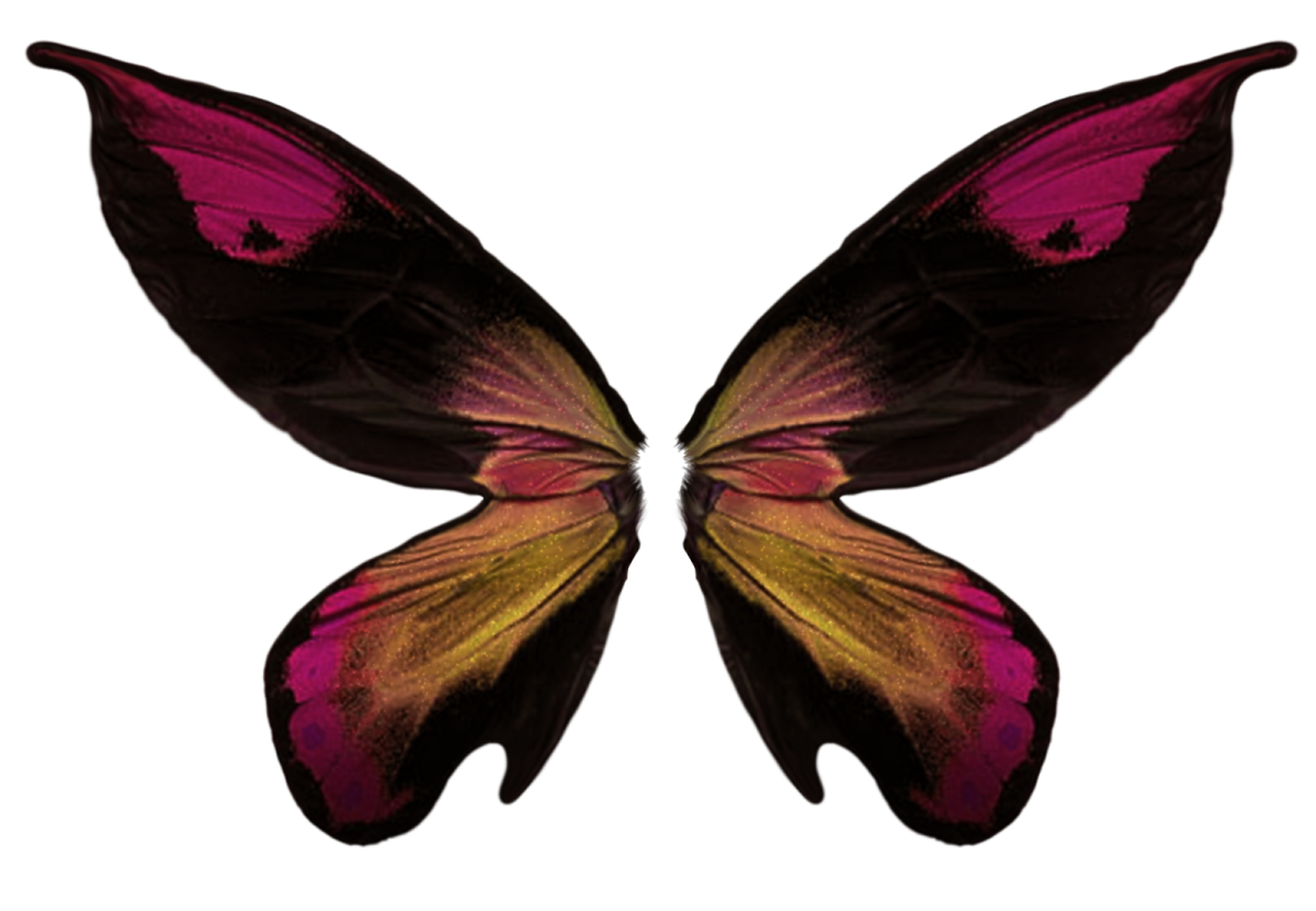 Игра крылья бабочек. Крылья бабочки. Крылья бабочки на прозрачном фоне. Крылышки бабочки. Бабочка без фона.