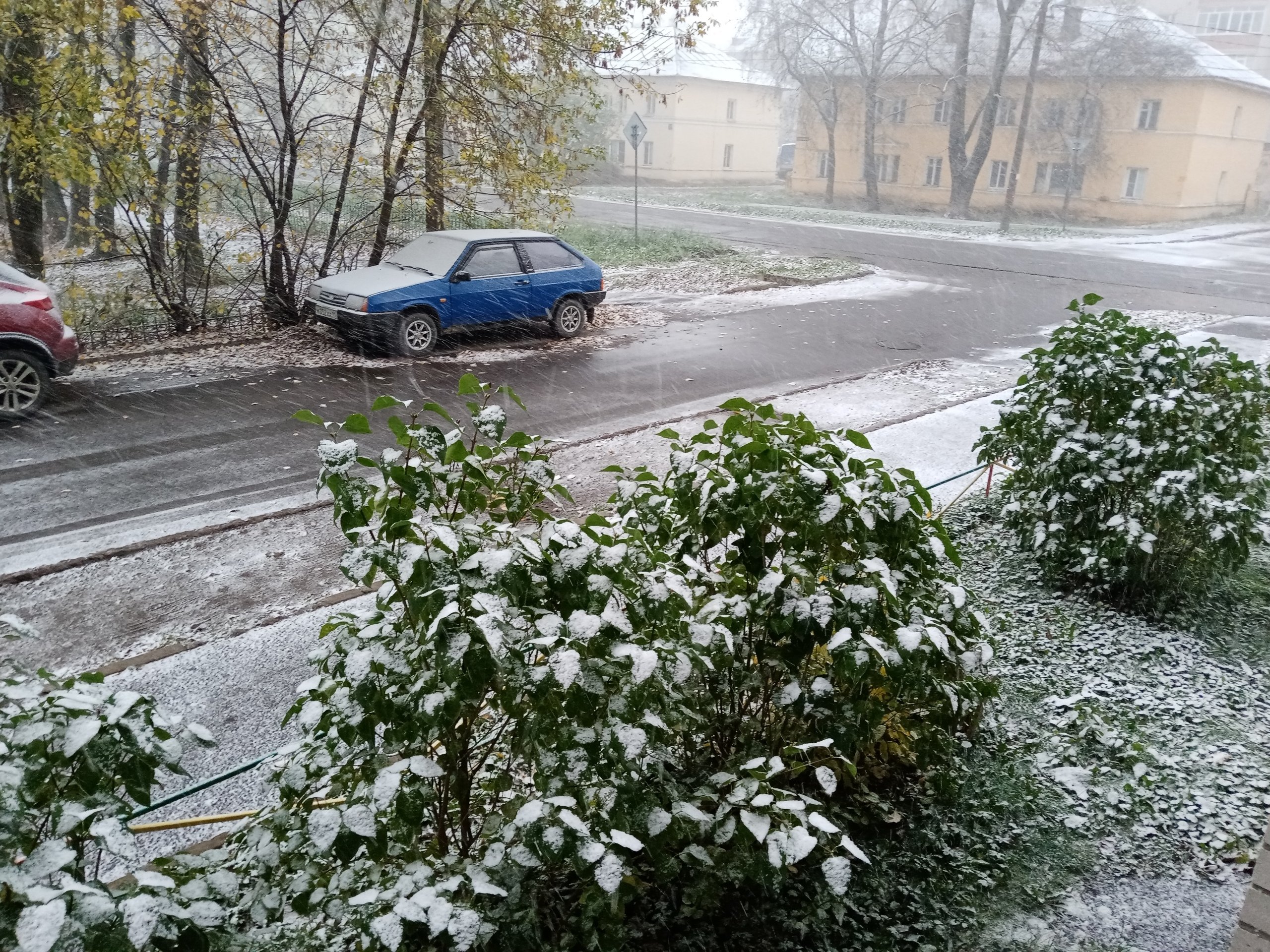 В россии выпадет снег. Первый снег Вологда. Выпал снег на Вологду. Бирюков первый снег. Снег в мае.