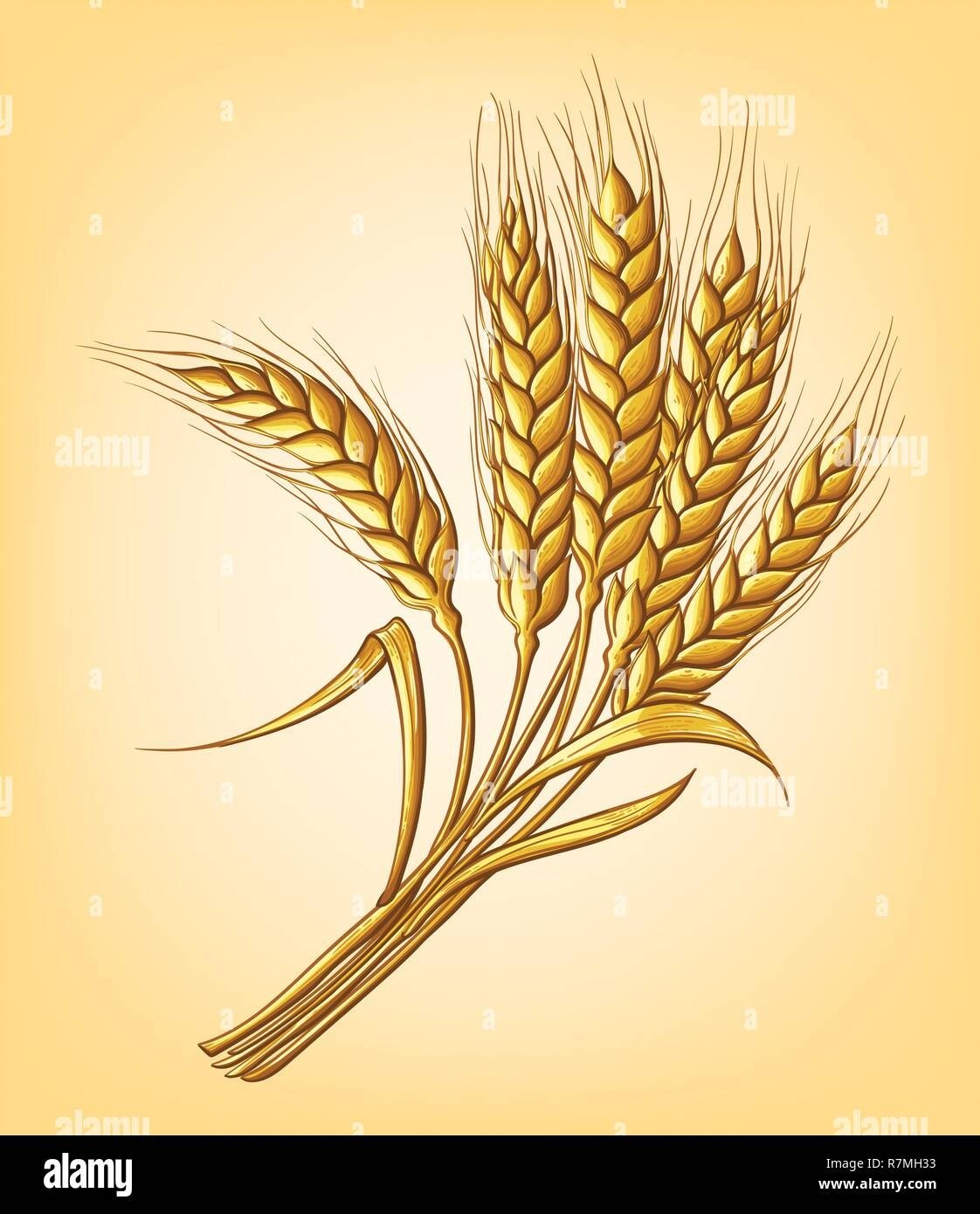 Пшеница для детей