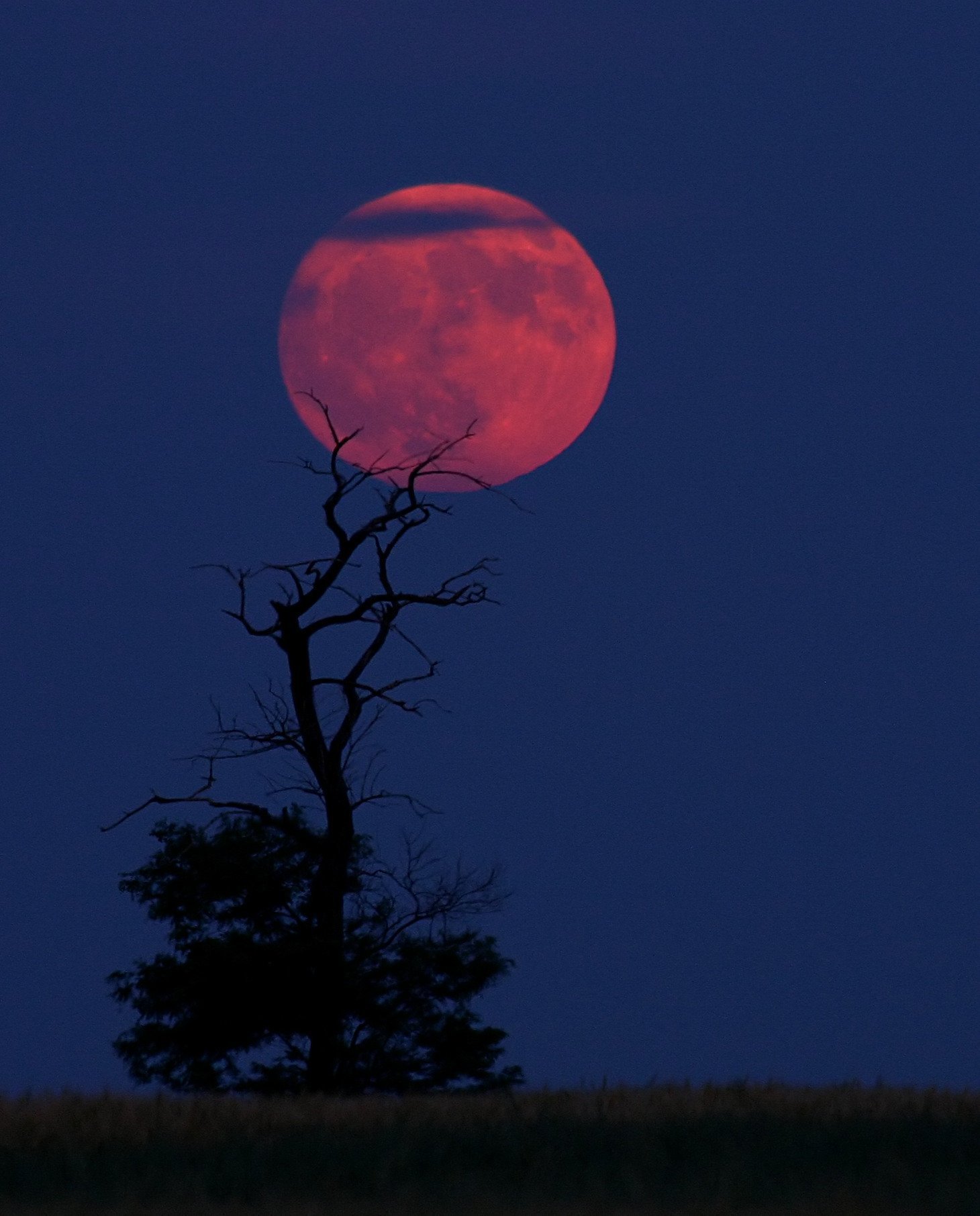Есть кровавая ночь. Красная Кровавая Луна. Кровавая Луна Кровавая Луна. Кроваво- красная киллеровская Луна. Полнолуние Кровавая Луна.