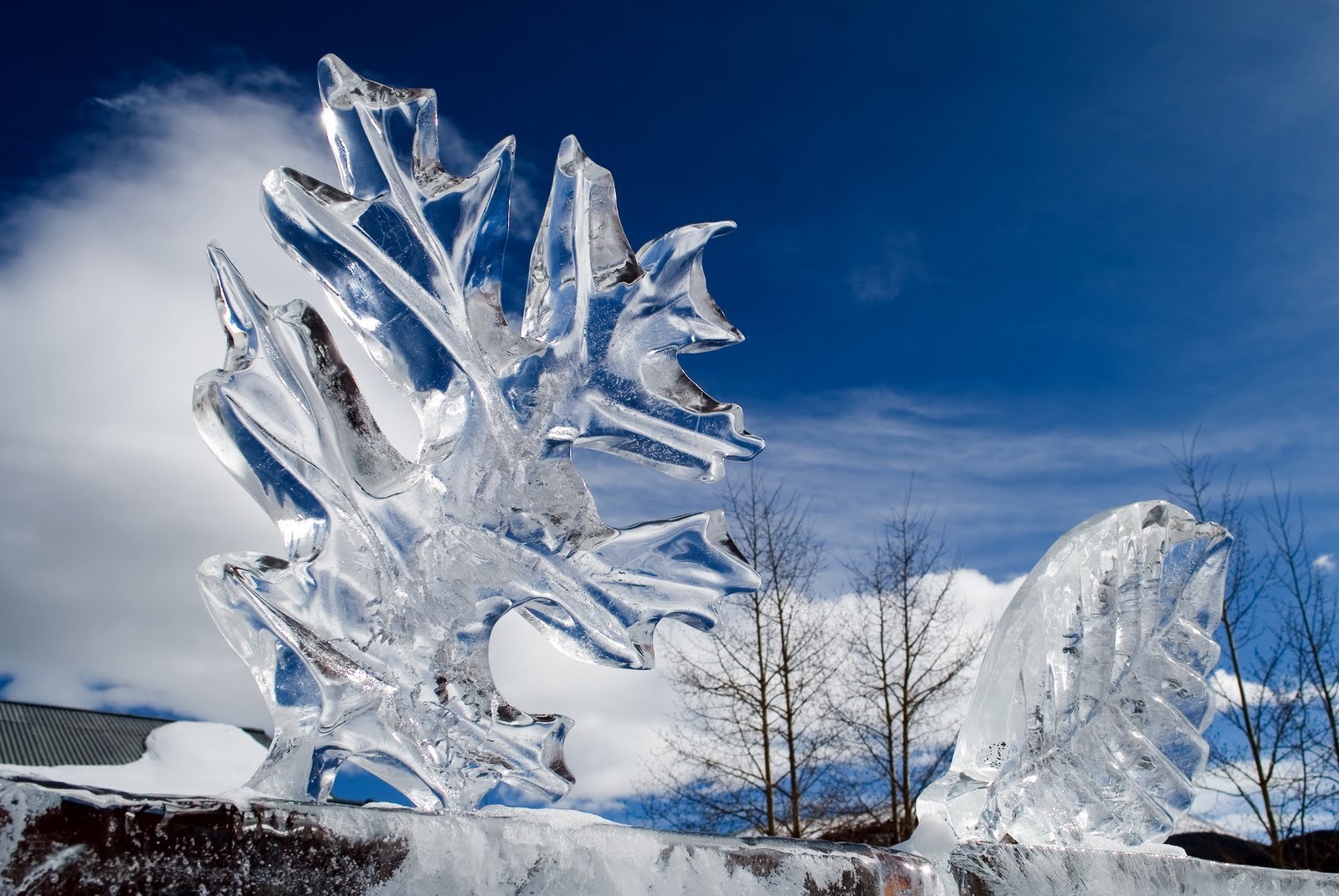 Картинка необычный зима. Снег и лед в природе. Ледяной пейзаж. Ледяные фигуры. Зимние причуды природы.