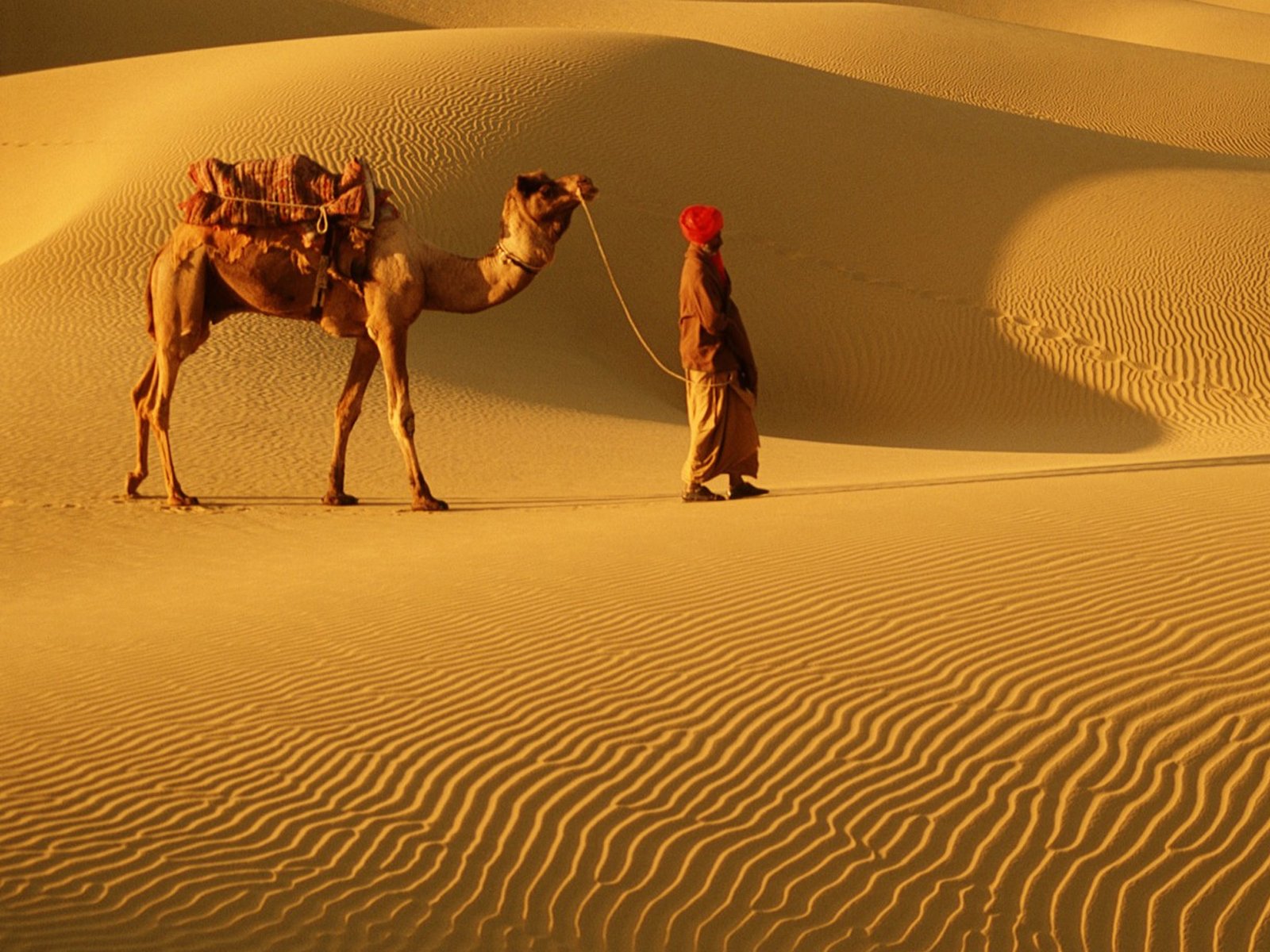 Люди каравана. Бедуин на верблюде. Караван бедуинов. Верблюды Караван. Туркменистан Верблюды Караван.