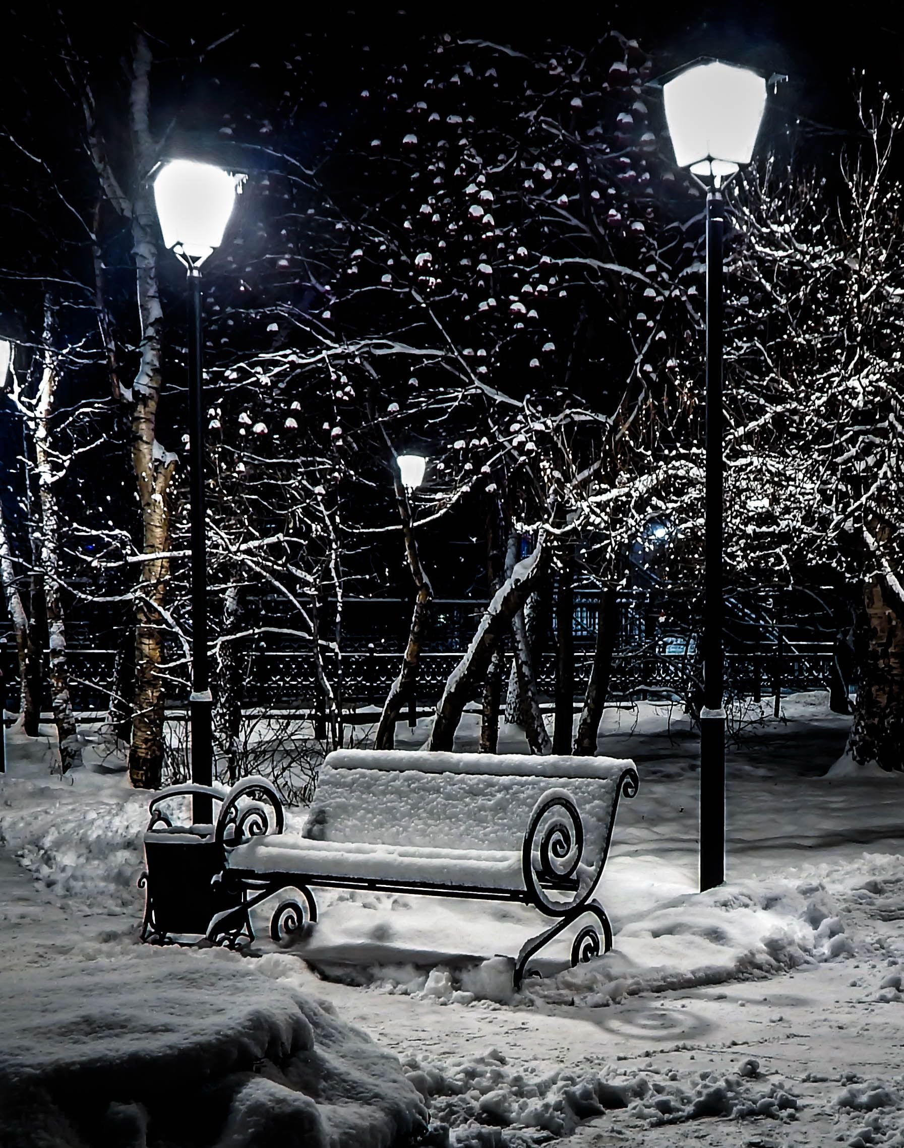Вечером снежок. Зимний парк. Снег ночью. Парк зимой. Зимний парк с фонарями.