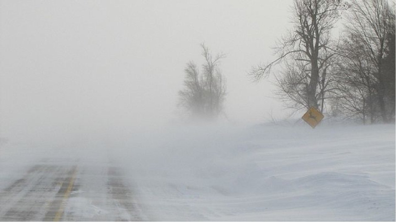 Метель 2. Низовая метель. Низовая метель фото. Казахстан туман и штормовой ветер. По области туман ветер Северный порывистый.