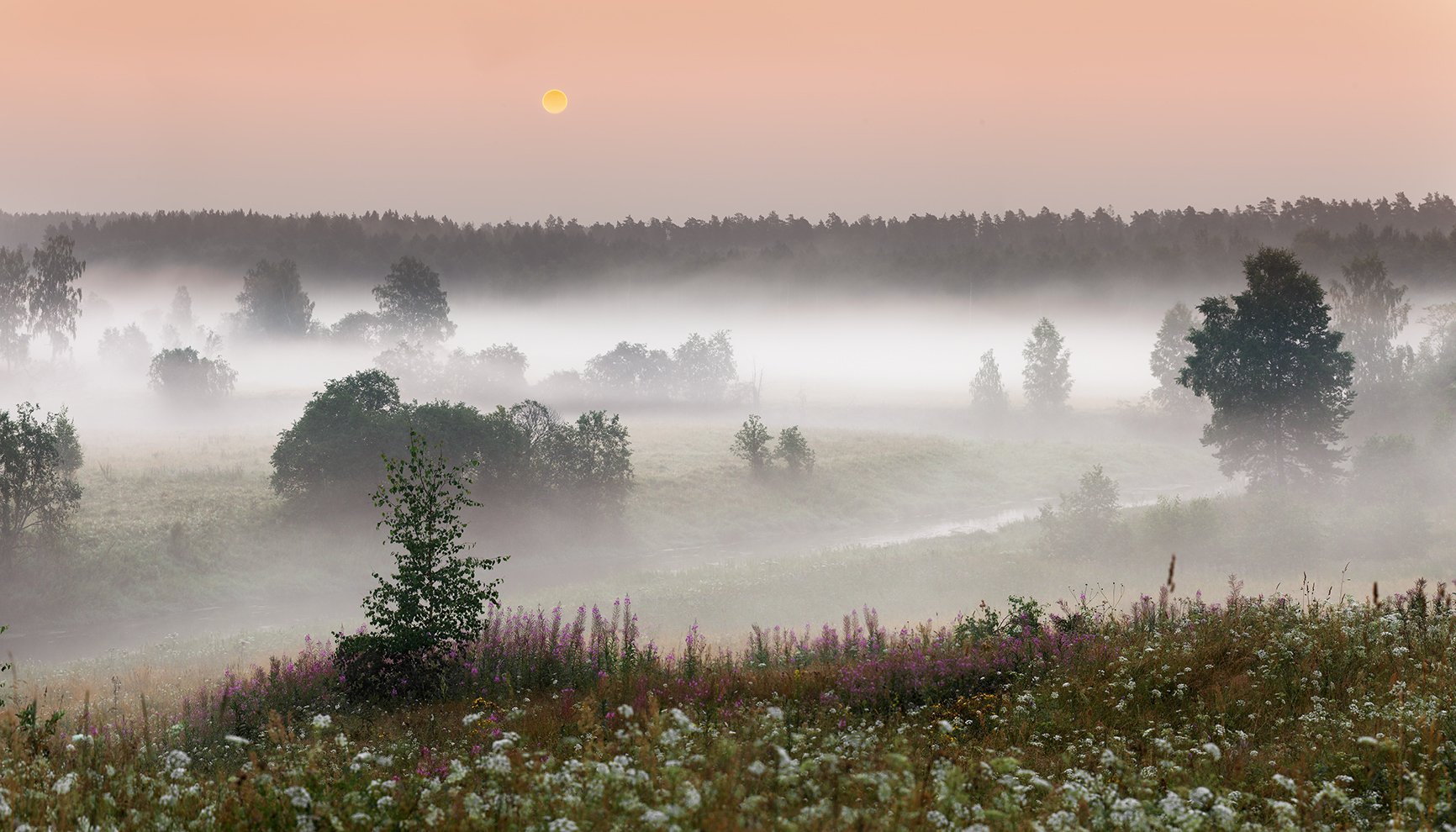Пелена трава. Асафатов - туман. Кенозерский национальный парк рассвет туман. Рассветный туман на Каменке. Суздаль.. Туманное утро Фет.