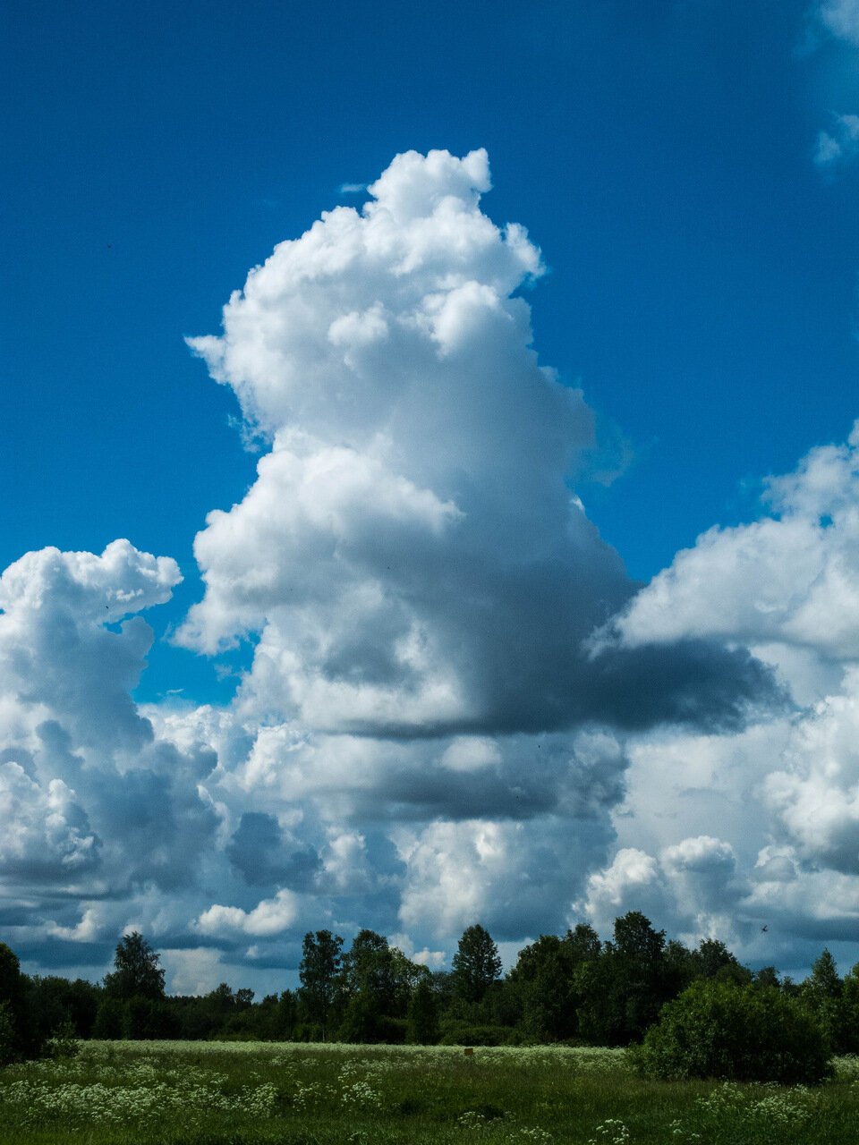 Обитатель облаков. Облака. Разные облака. Интересные облака. На что похожи облака.
