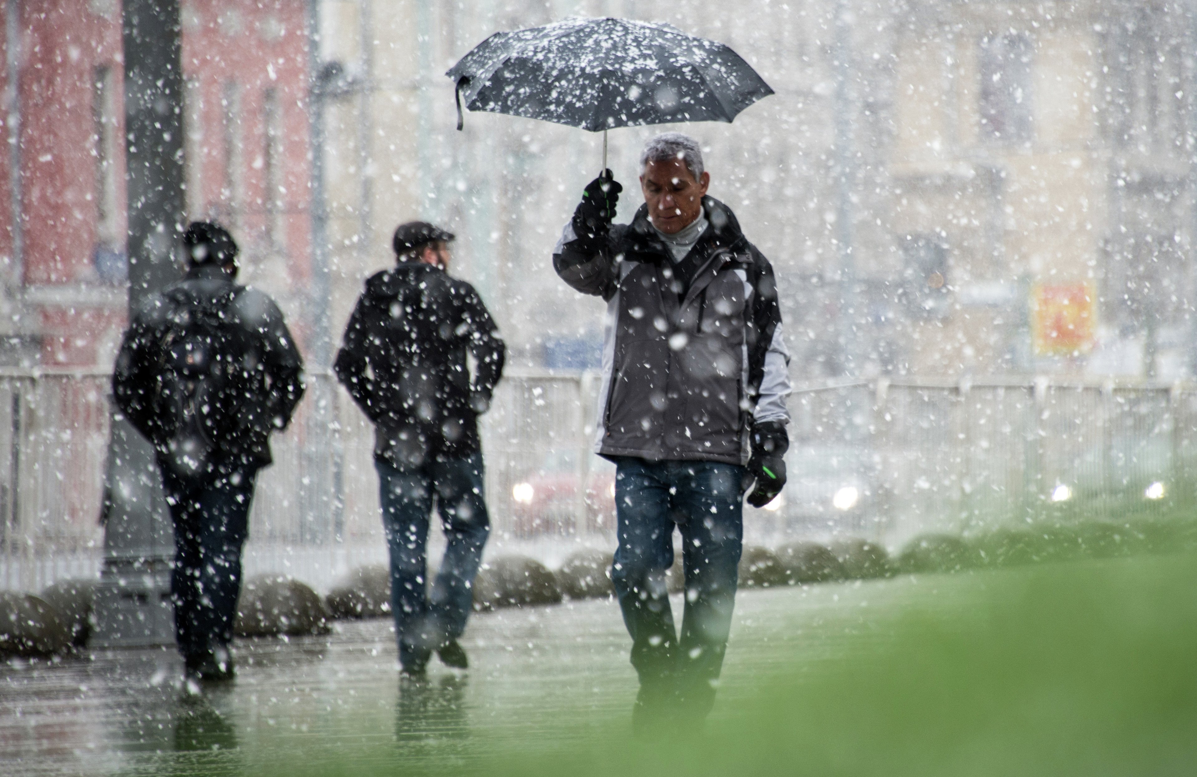 Сугробов дождь. Снег с дождем. Мокрый снег. Москва дождь зимой. Мокрый снег в Москве.