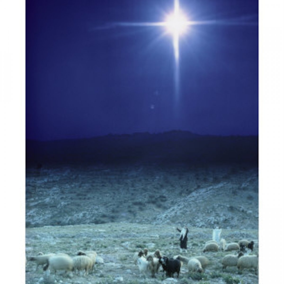 Рождество Христово Вифлеем пастухи