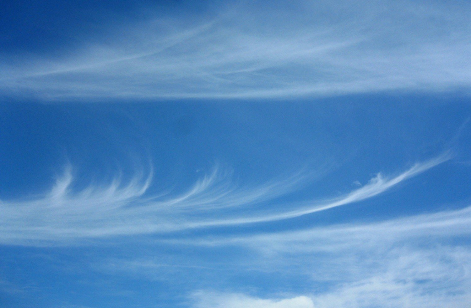 Cloud cs 2. Перисто-Слоистые облак. Просто Слоистые облака. Перистослоевые облака. Cirrus перистые облака.