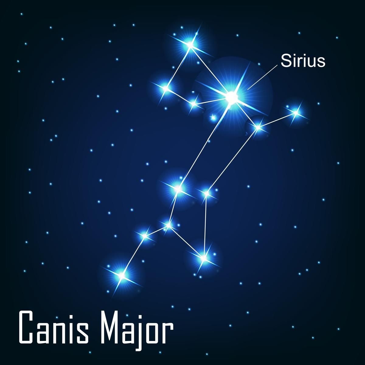 Яркая звезда в созвездии большого пса. Canis Major Созвездие. Сириус звезда. Сириус звезда в созвездии. Созвездие большого пса.