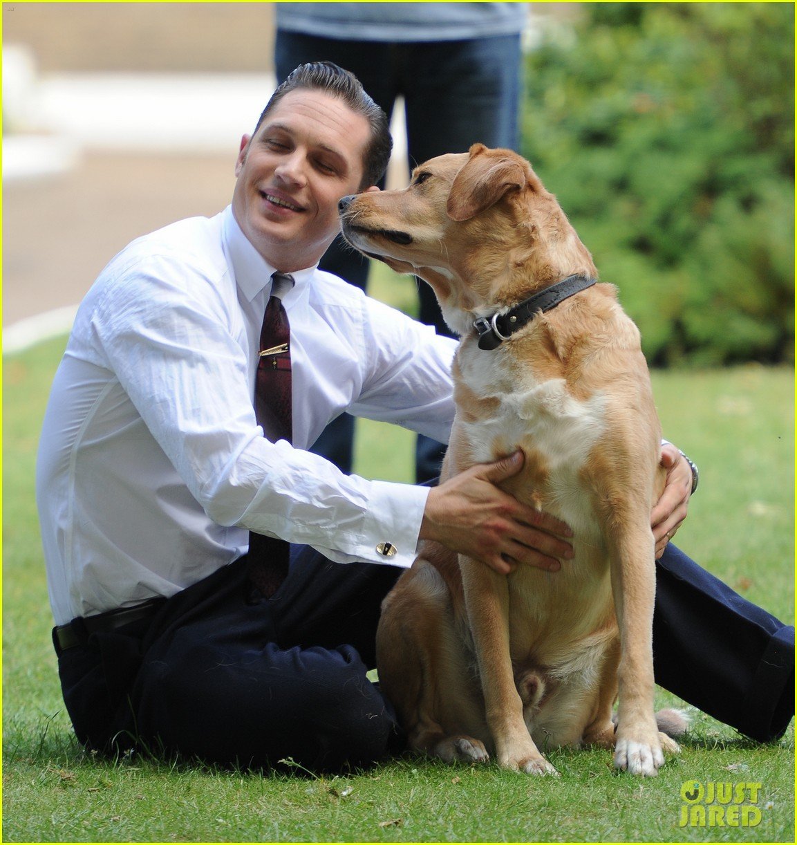 Бесплатный собака мужчина. Том Харди с собакой. Том Харди и его собаки. Собака Тома Харди.