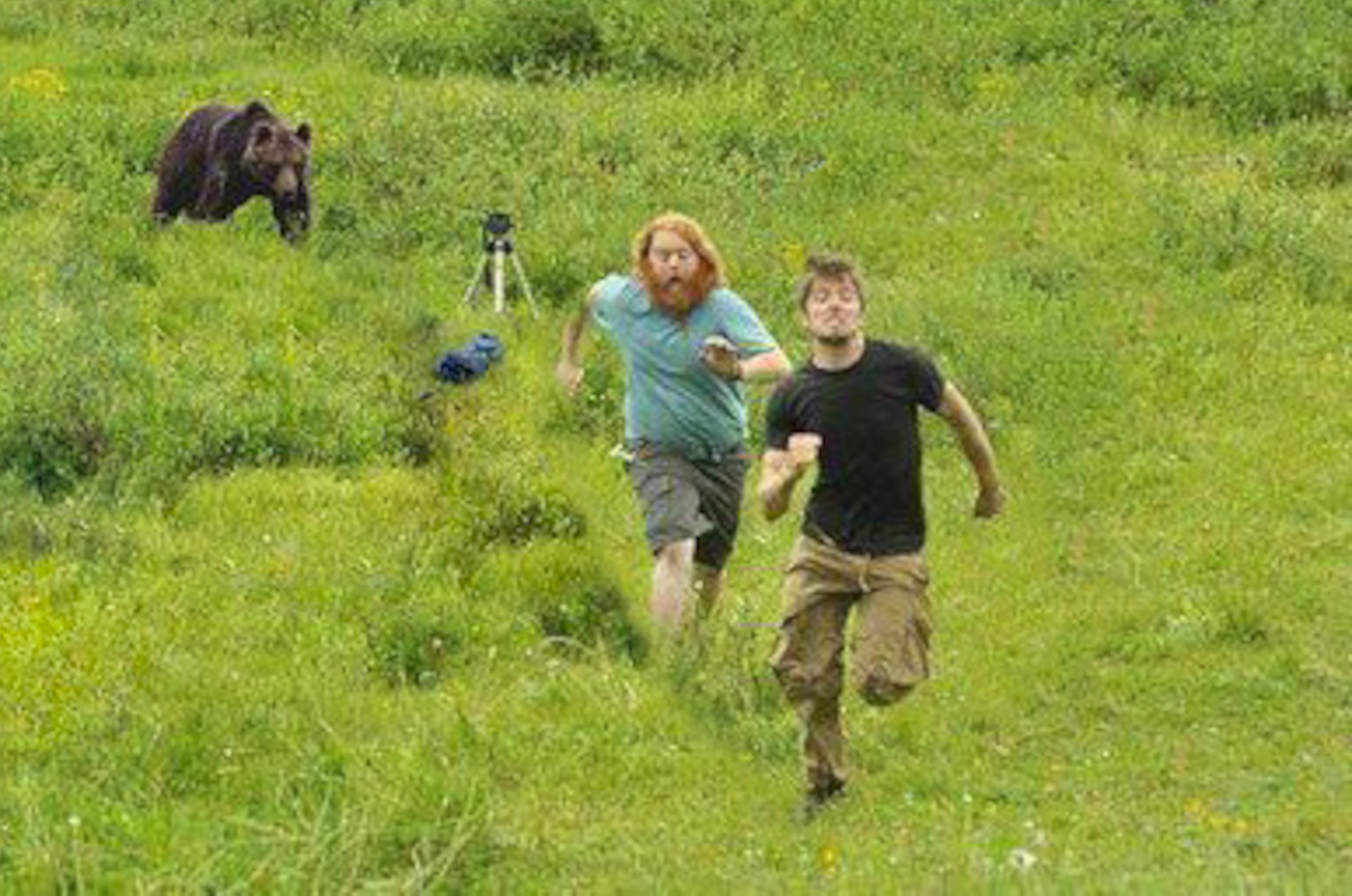 Человек убегает от медведя