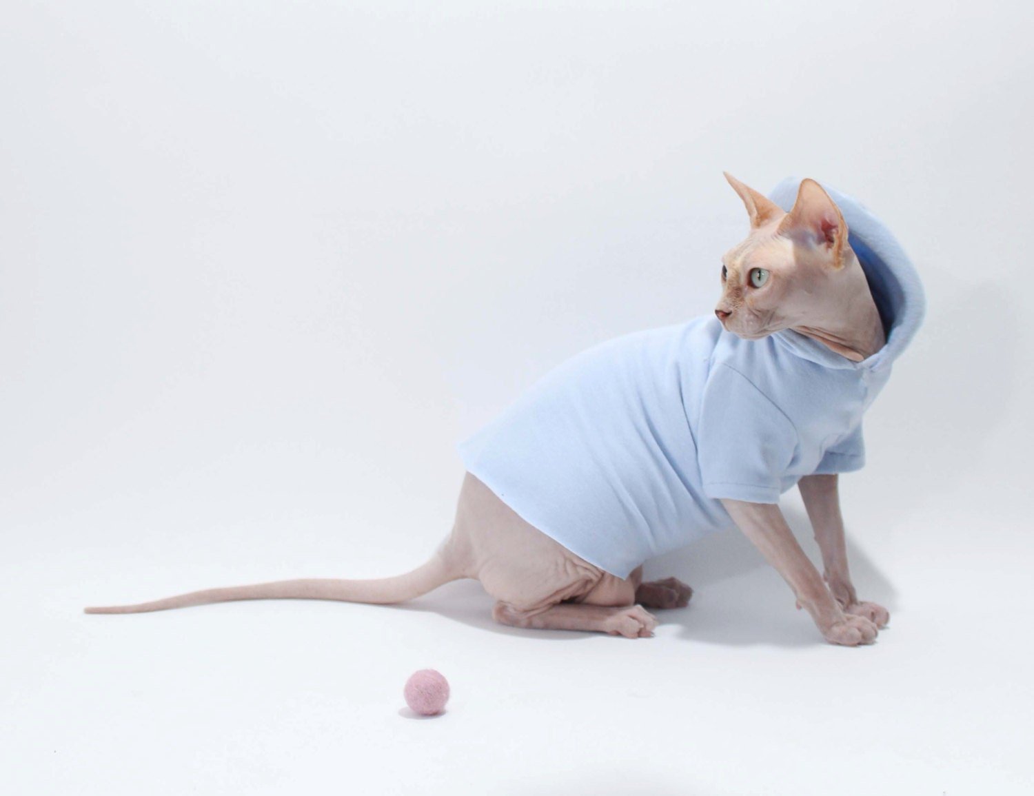 Платье для кошек лысых