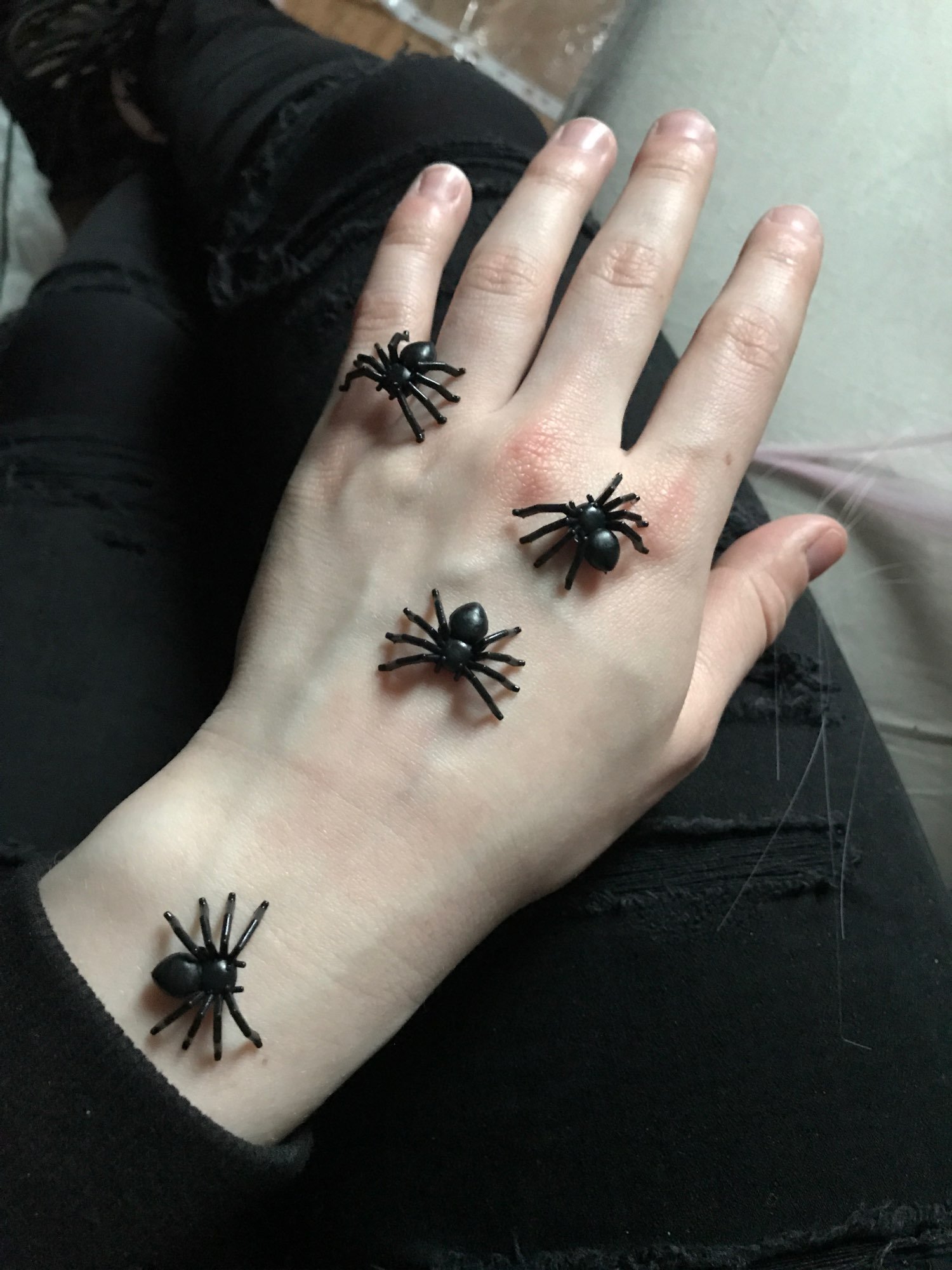 Маленькие домашние пауки