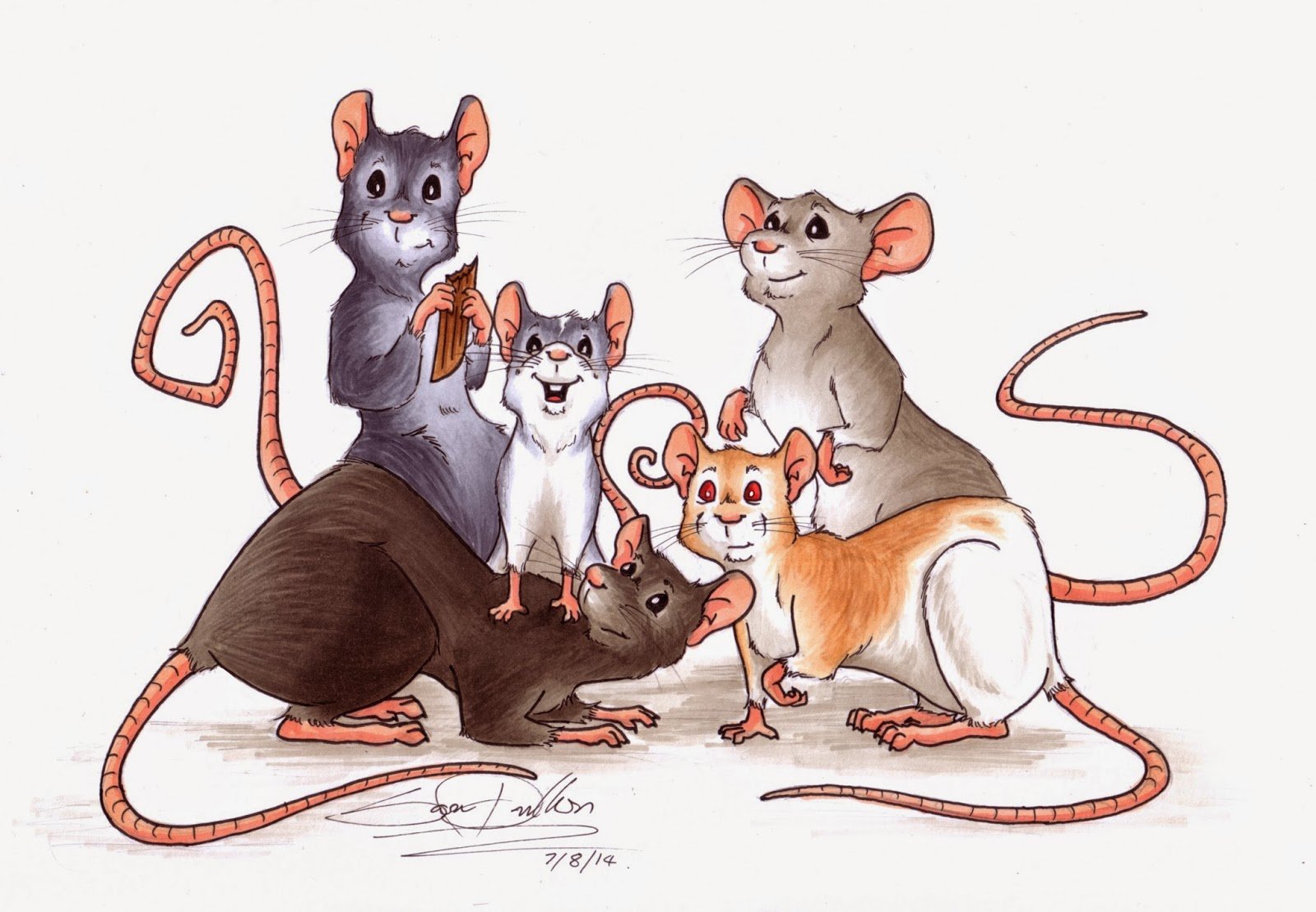 Родители мыши. Семейство крыс. Пять крыс. Семья крыс. Крыса с крысятами.
