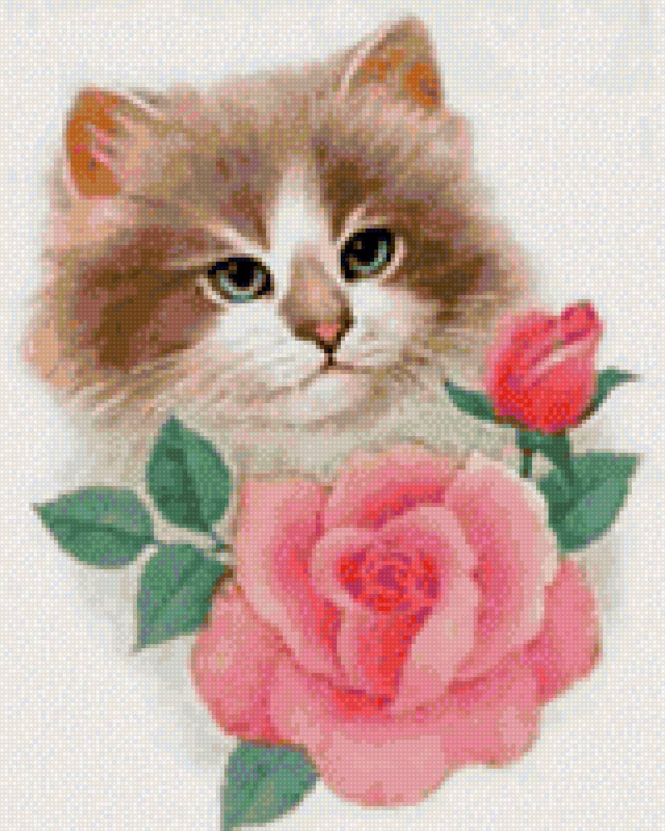 Открытка кот с цветами. Котенок с цветами. Котик с цветочком. Кротик и цветы. Котенок с букетом цветов.