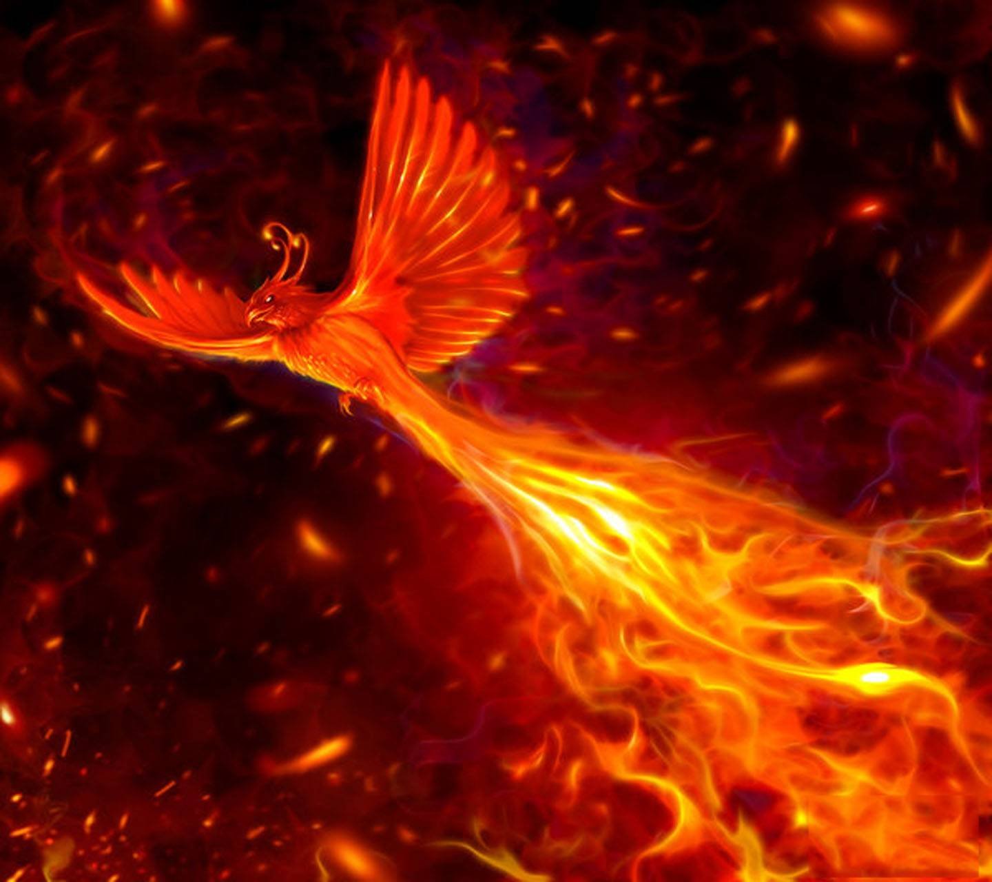 Огненный феникс читать. Жар птица Феникс. Красный Феникс дзаку. Сказочная птица. Птица Феникс фото.
