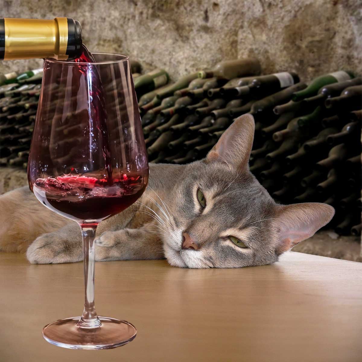 Кошачье вино