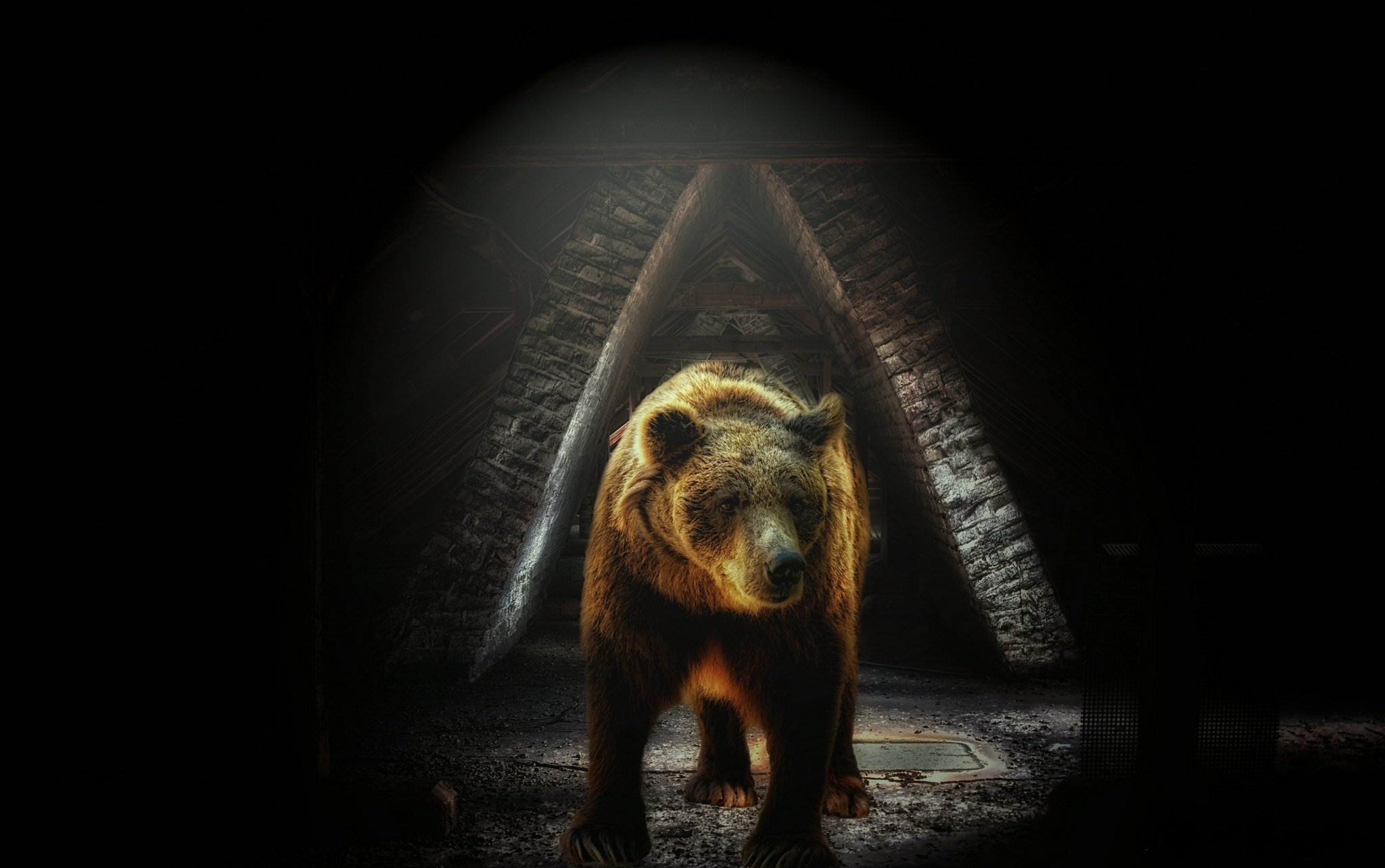 Медведь на черном фоне. Медведь арт. Медведь фон. Медведь обои. Медведь на темном фоне.