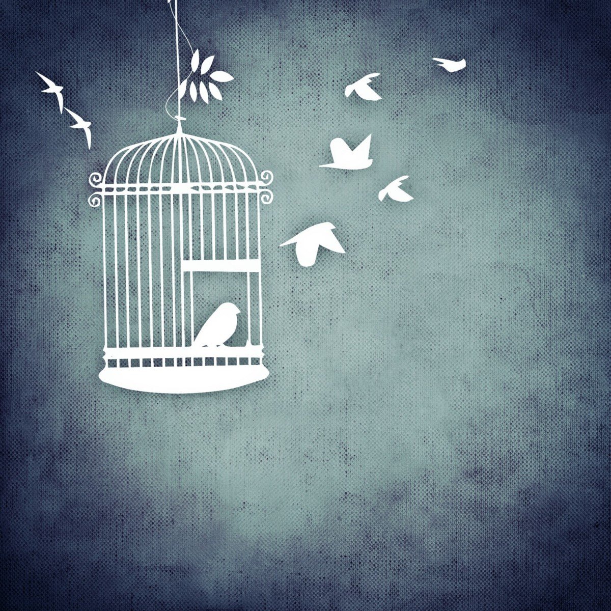 Птица клетка Свобода