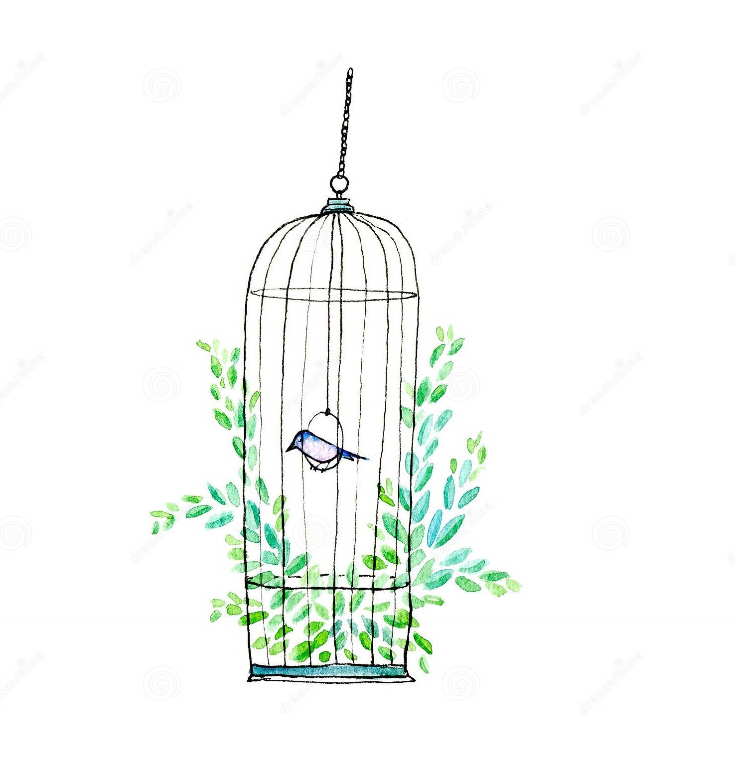 Птица в клетке скетч