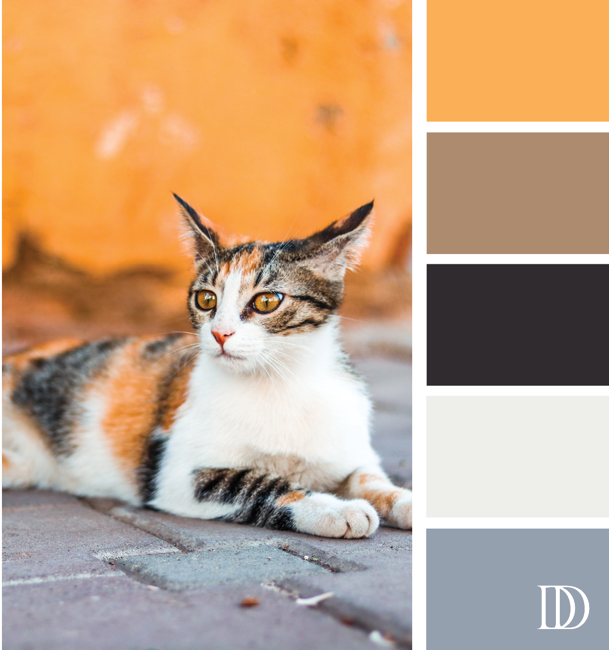 Кошачья палитра. Палитра цветов коты. Трёхцветная кошка. Палитра для окраса кота. Серо рыжий окрас кошки