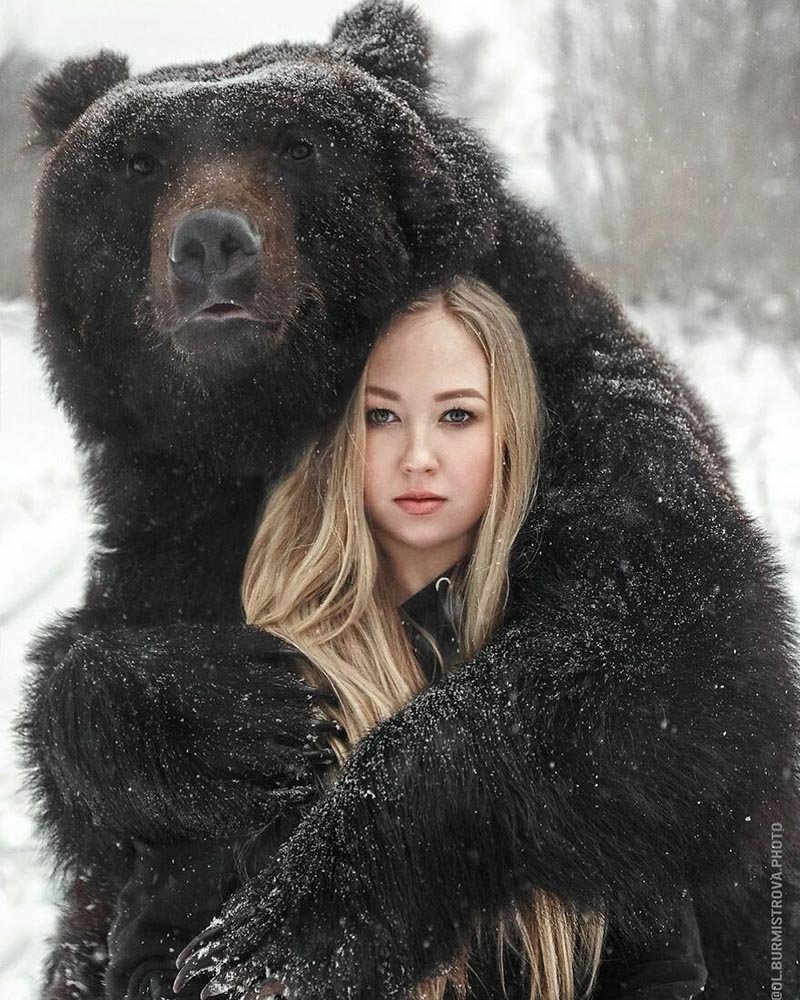 Анастасия лукашова медведь - 67 фото