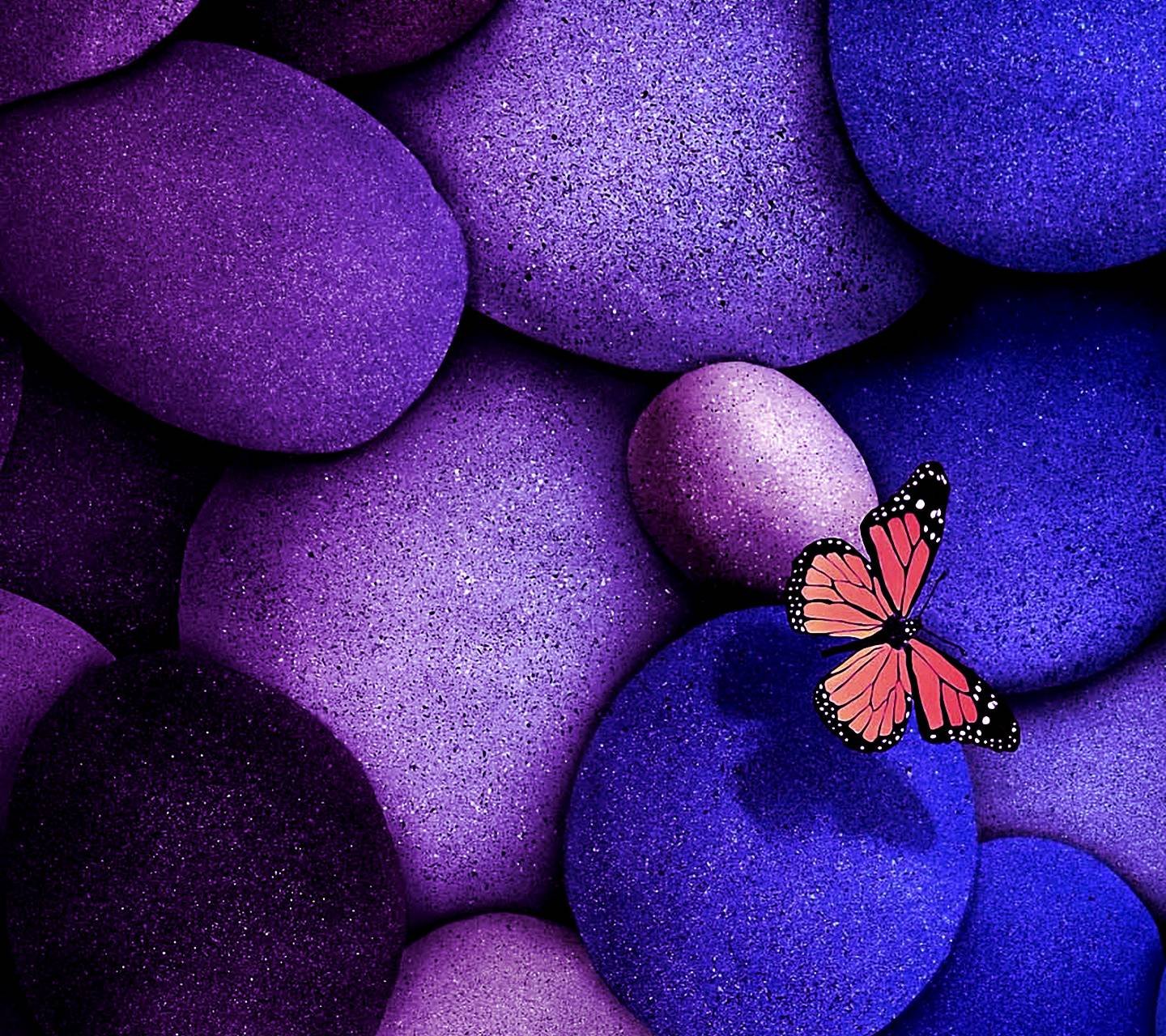 Бабочки фиолетового цвета. Сиреневые бабочки. Бабочка фиолетовая. Обои на телефон бабочки. Feolotoviy babochka.