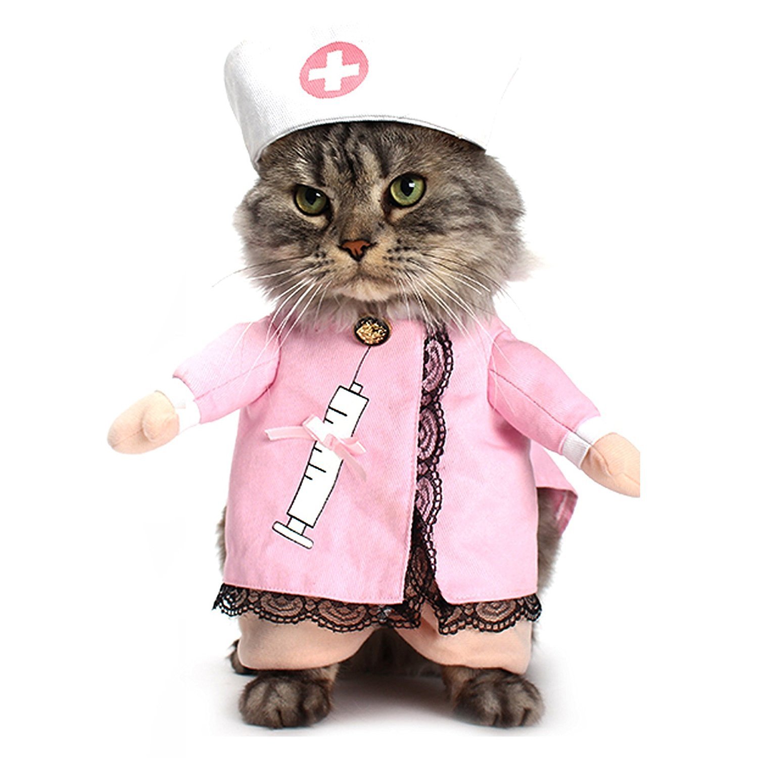 Кот в костюме врача