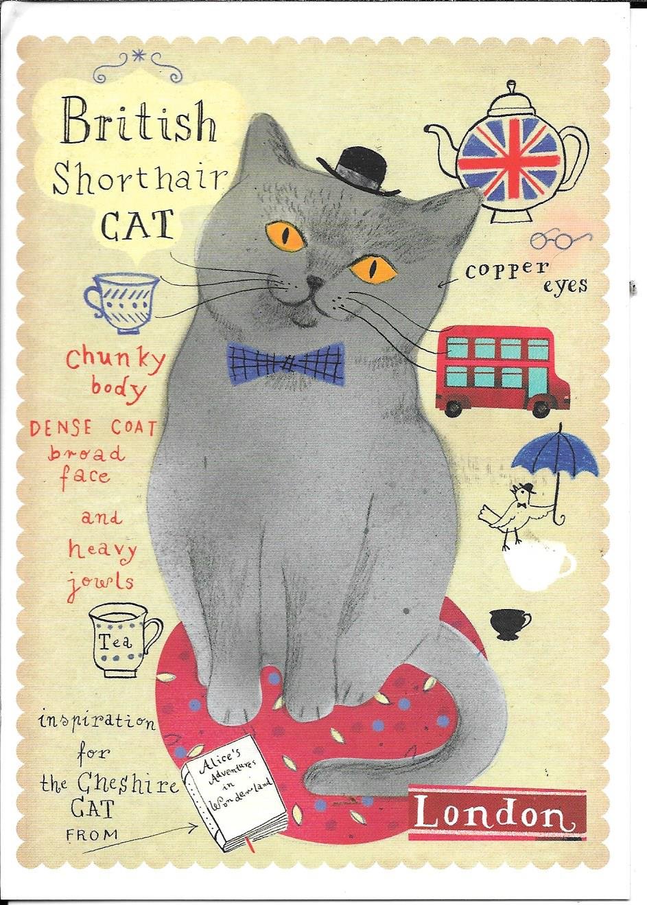 Постер с британской кошкой