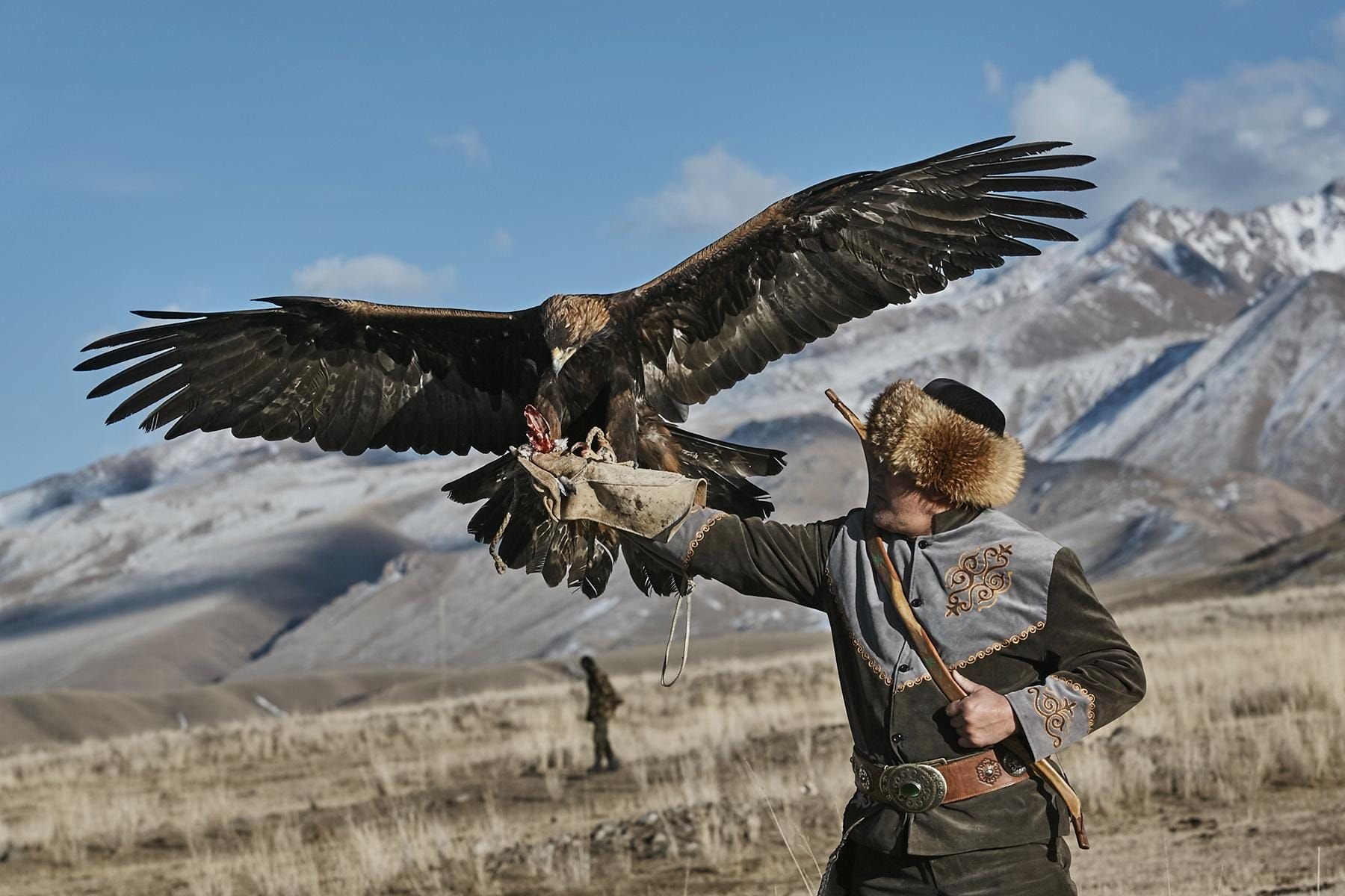 гашгалдаг птица в азербайджане
