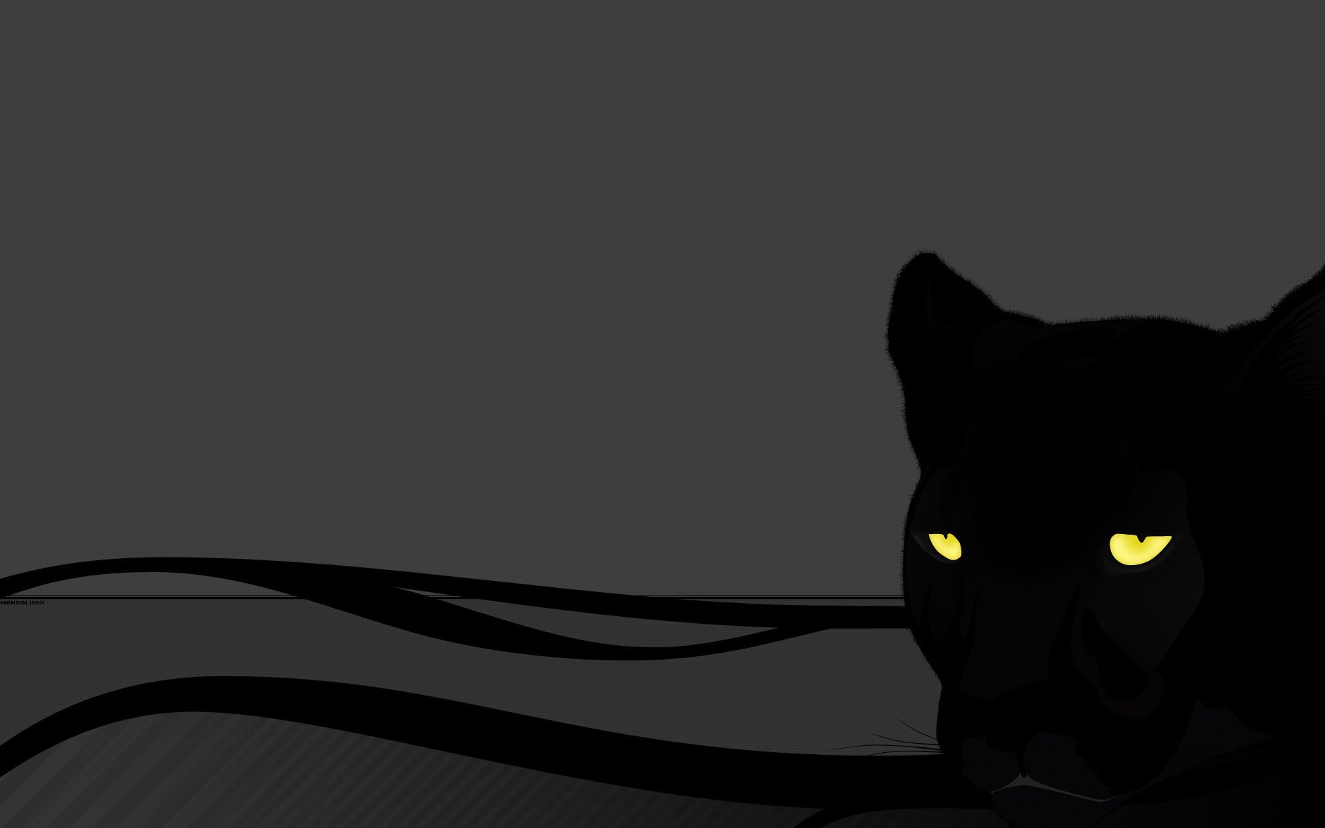 Картинка на рабочий стол черный фон. Черные обои. Черный фон картинка. Черная кошка. Обои на рабочий стол черные.