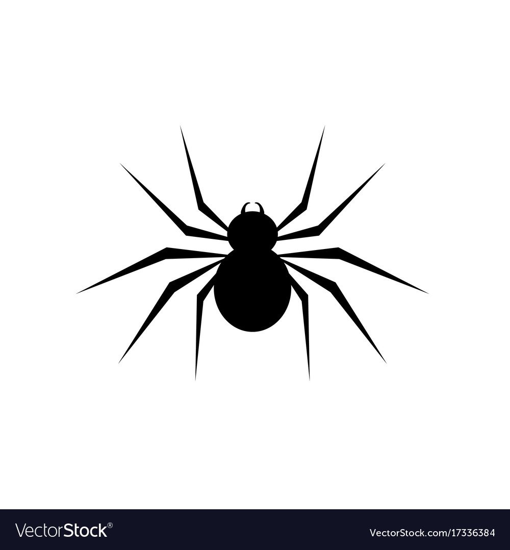 Черный паук эскиз