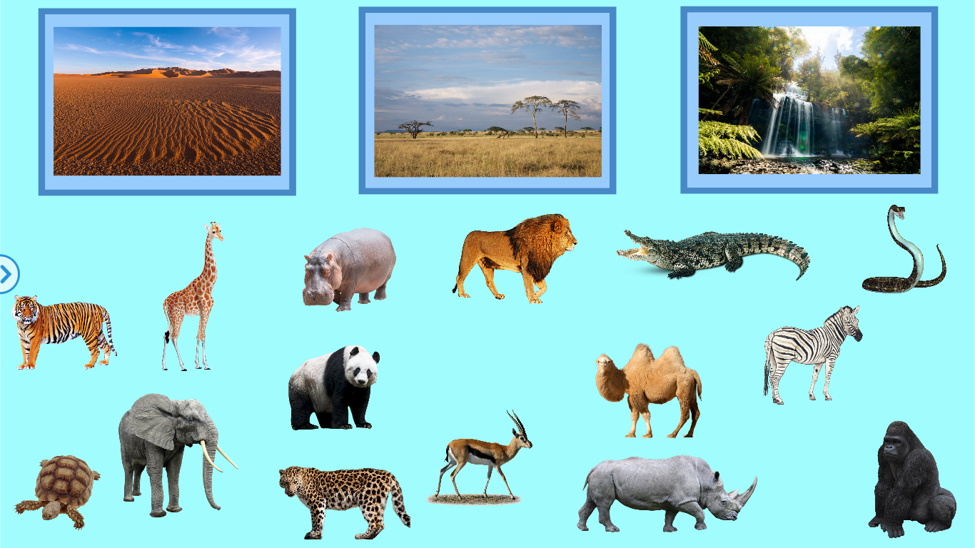 Животный мир группы. Животные жарких стран. Животные севера и жарких стран. Животные севера и Юга. Животные Африки для дошкольников.