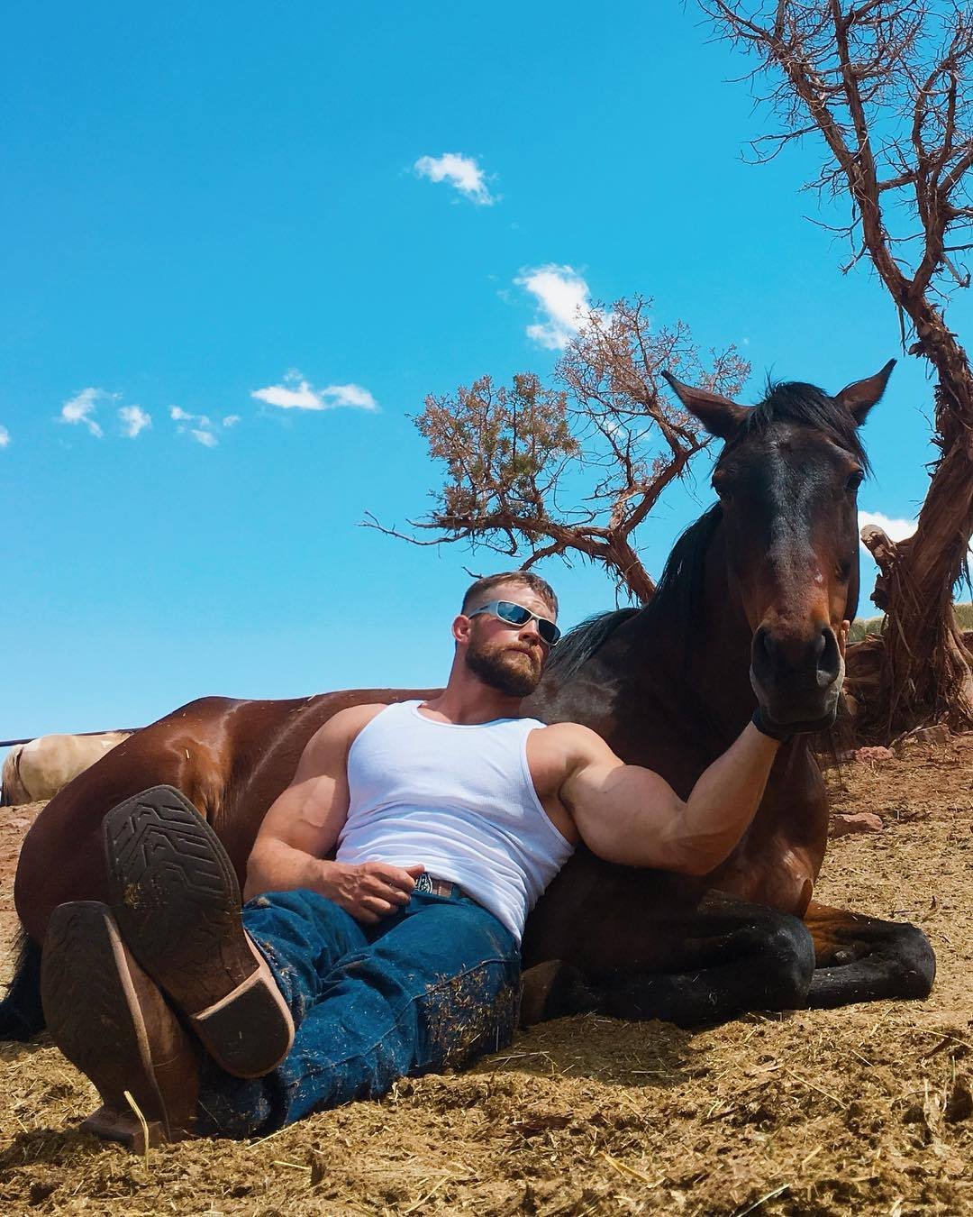 Мужчина бык и мужчина лошадь. Мужчина на лошади. Мужская фотосессия с лошадью. Мужчина на коне. Красивый парень с лошадью.