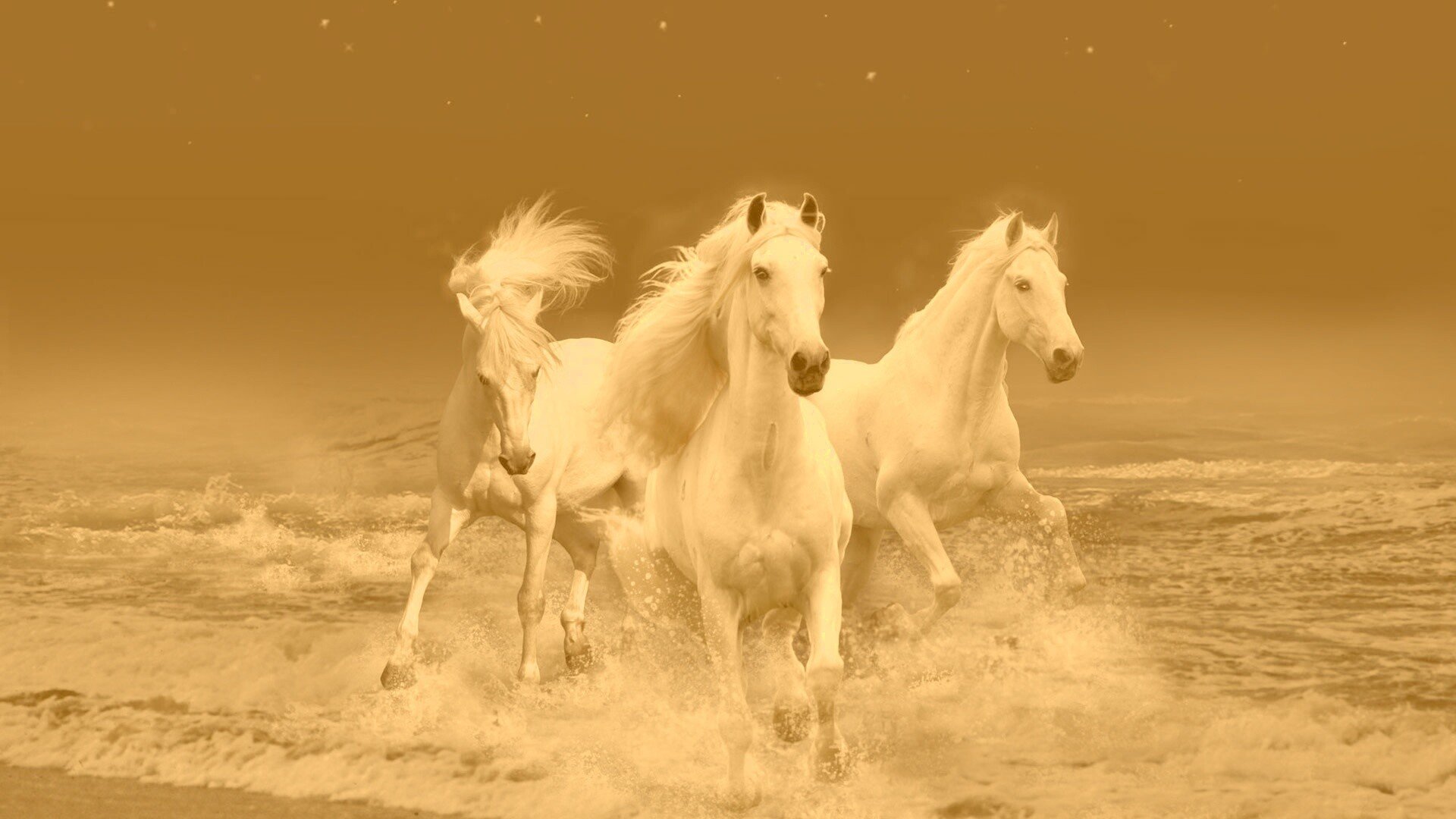 Белые лошадки песня. Тройка белых лошадей. Лошадь бежит по воде. Три лошади. Три лошади бегут.