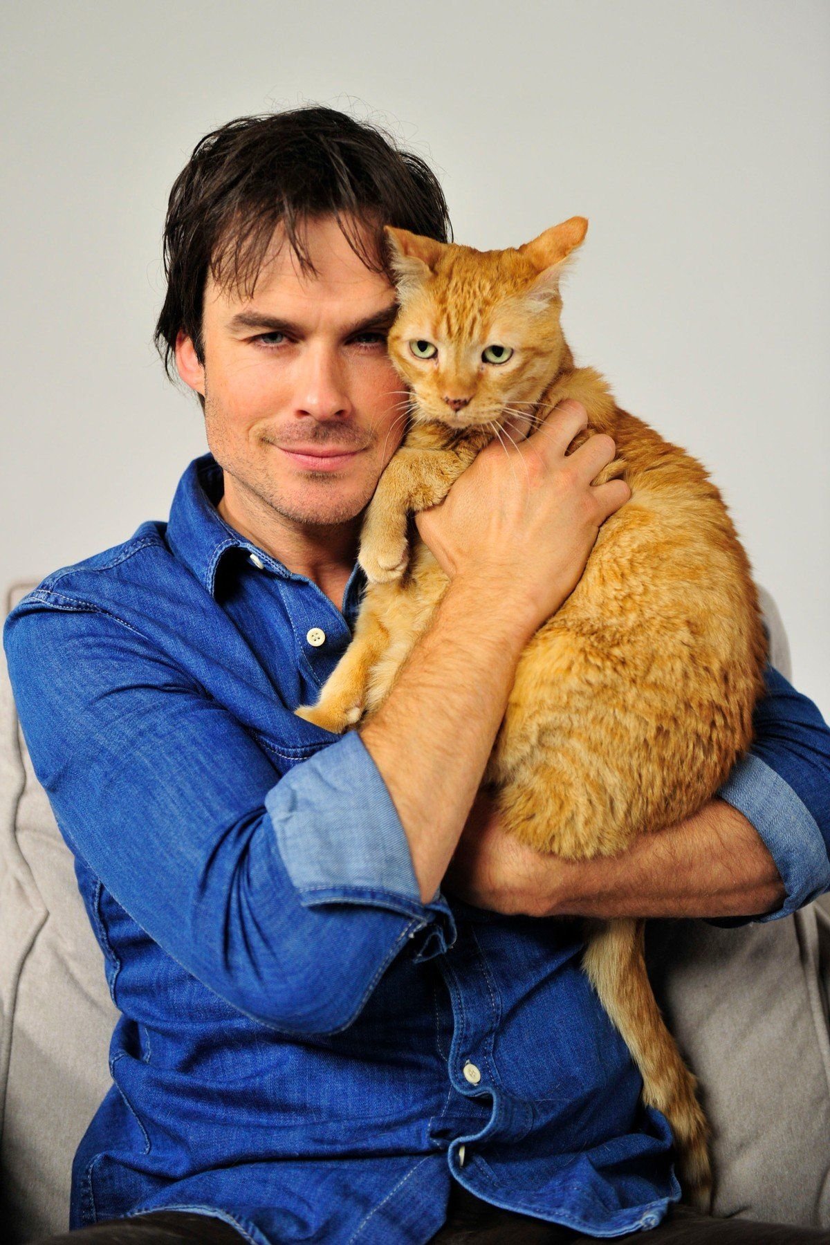 Мужчина любящие кошек. Йен Сомерхолдер с котом. Кот Деймон рекс. Дэймон Сальваторэ с котёнком. Деймон рекс коты фото.