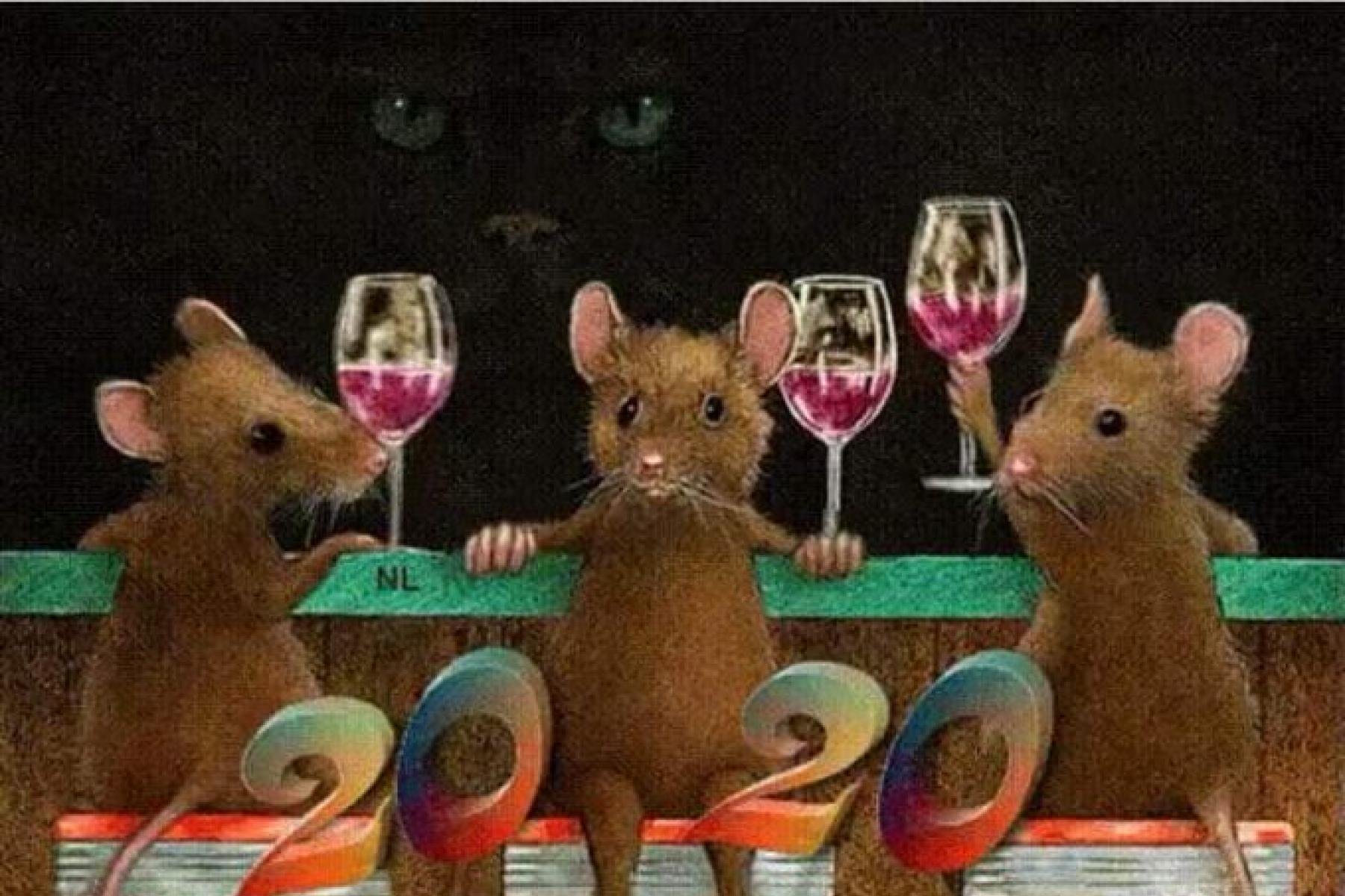 Three mice. Три крысы подружки. Три крысы. Три крысы с вином. Крыски подружки.