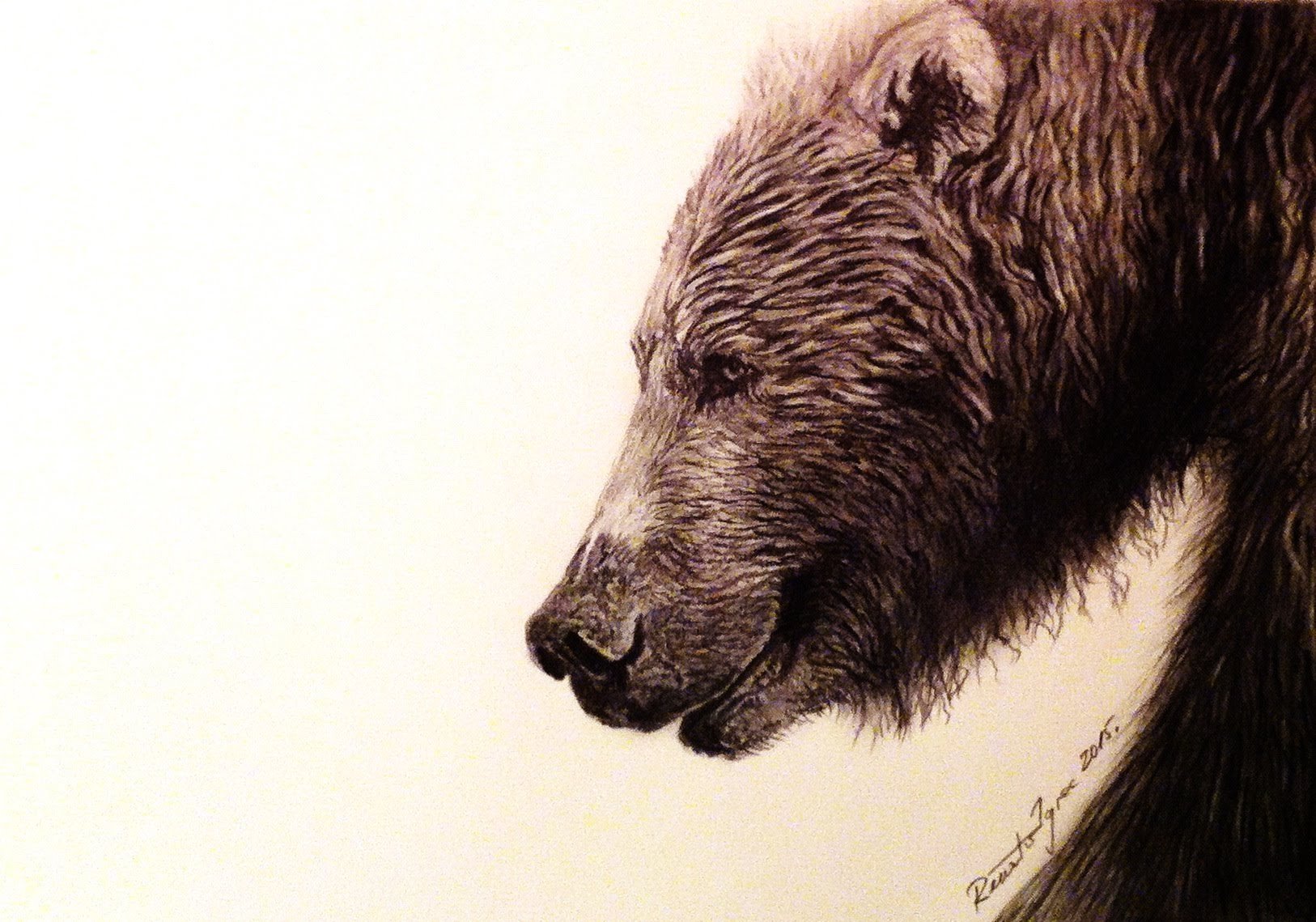 Bear hand. Медведь рисунок. Медведь арт. Медведь арт чб. Морда медведя арт.