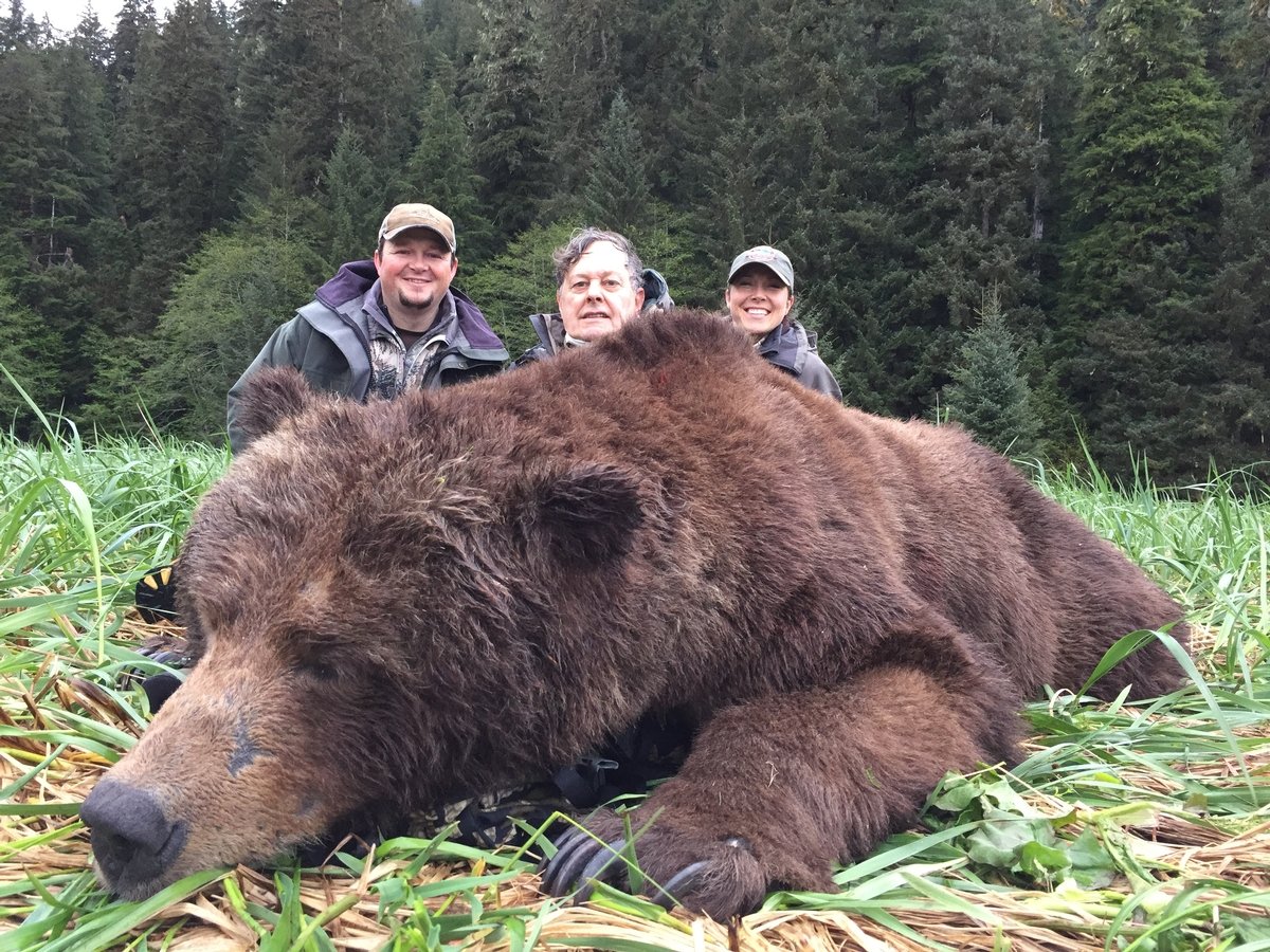 Скорость сибирского медведя. Медведь людоед Гризли на Аляске. Самый большой в мире медведь Гризли. Гигантский Гризли Аляска. Медведь Кадьяк самый большой в мире.