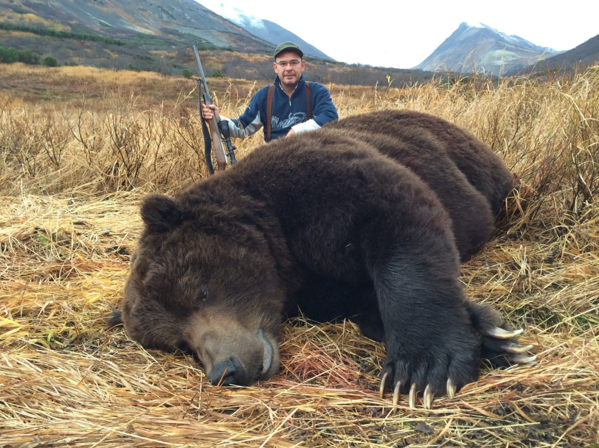 Большо. Большой бурый медведь Кадьяк. Самый большой Кадьяк в мире бурый медведь Кадьяк. Самый большой бурый медведь в мире.